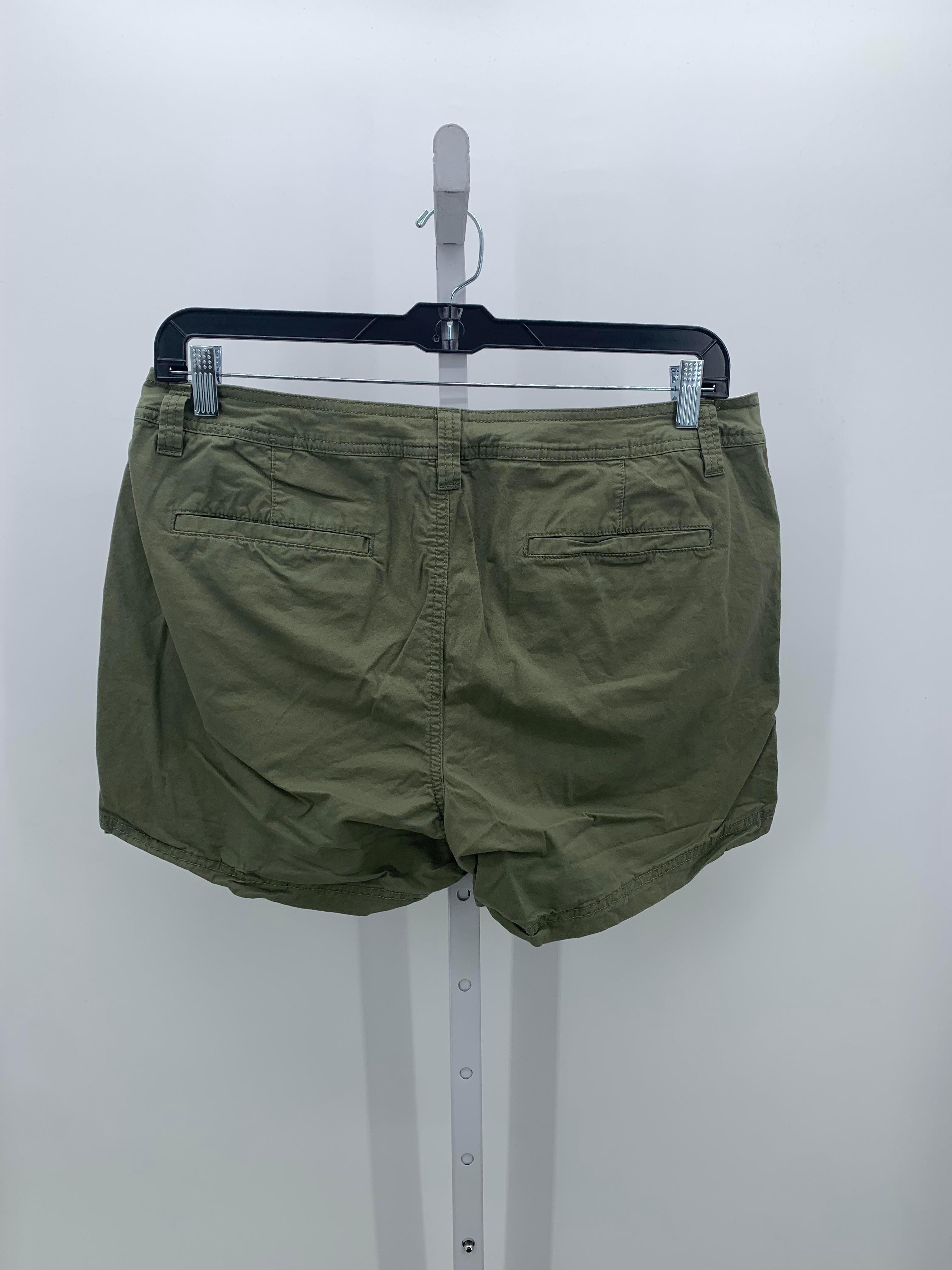 Natural Reflections Size 16 Misses Shorts