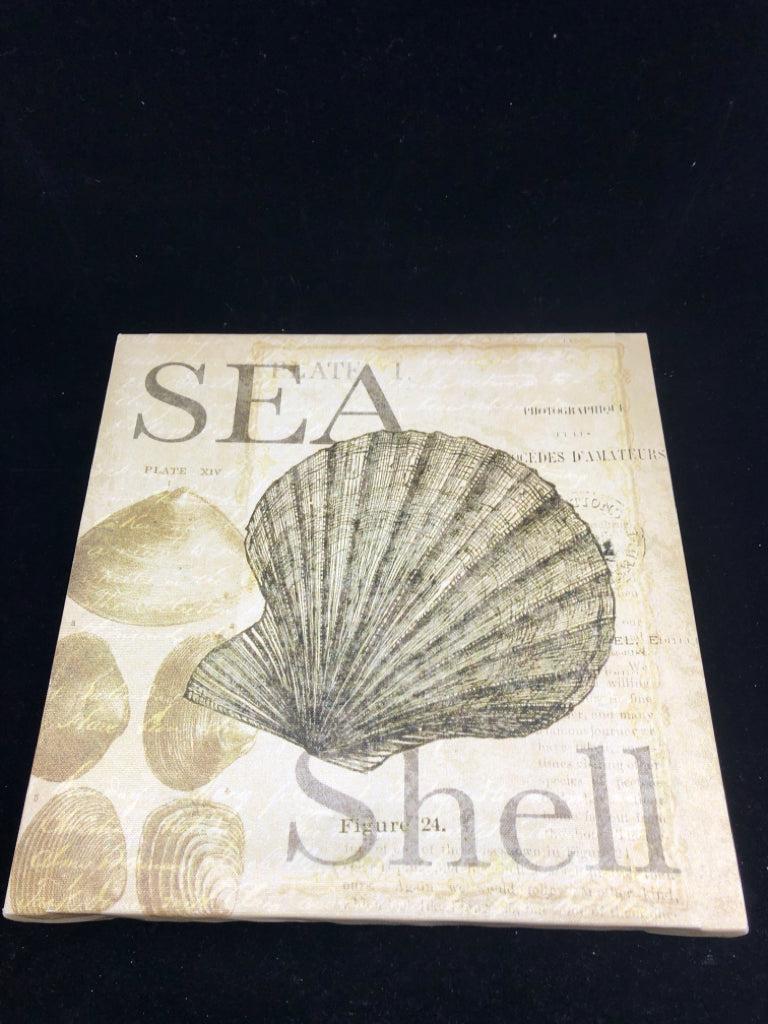 TAN SEA SHELL CANVAS WALL ART.