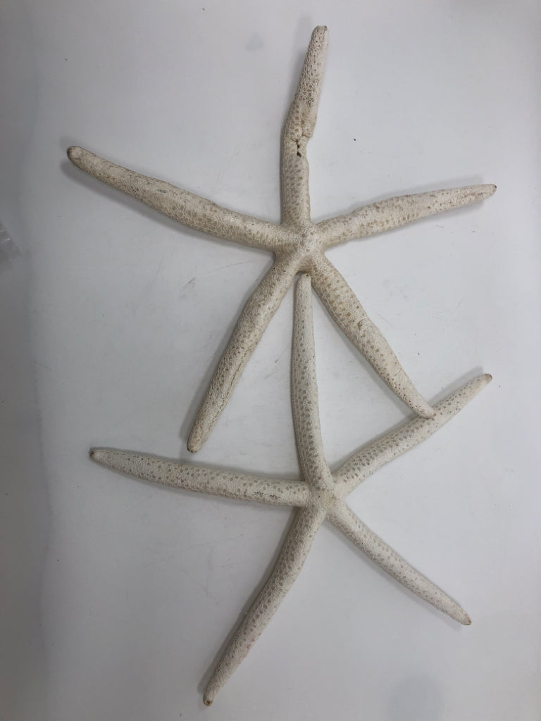 2 LARGE STARFISH DECOR IN BAG.