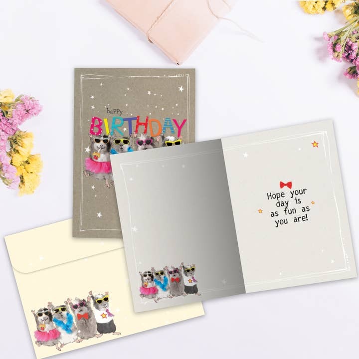 Fun Day, Birthday Card