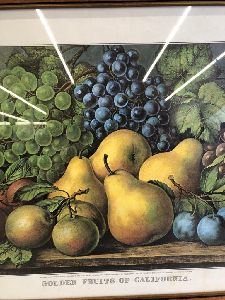 GOLDEN FRUITS OF CALIF WOOD FRAMED PRINT.