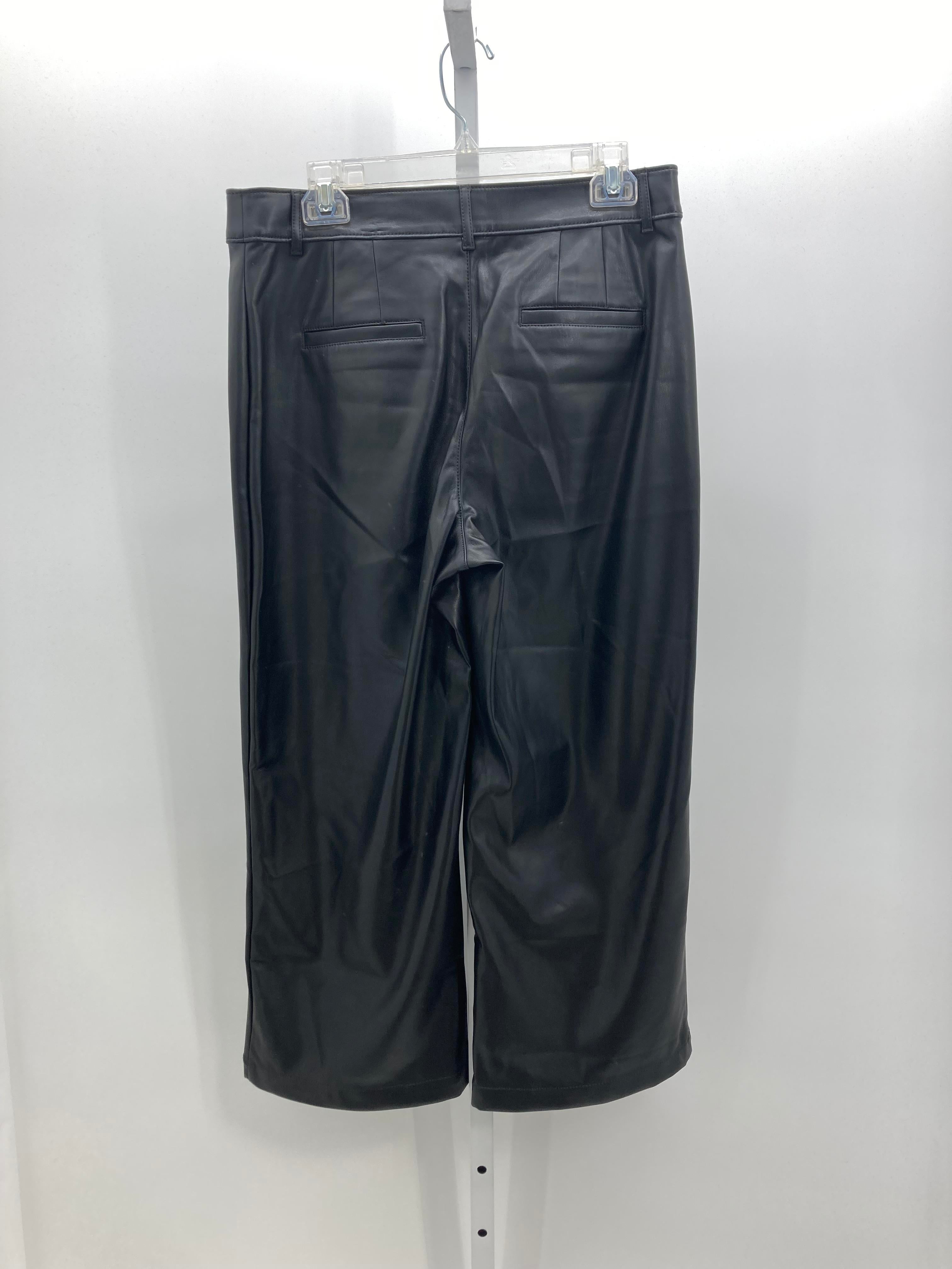 Loft Size 10 Petite Petite Pants