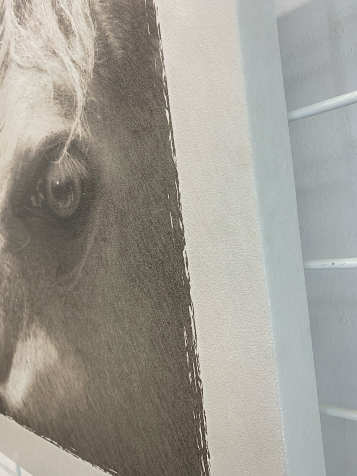 HORSE EYE CLOSE-UP WRAPPED CANVAS.