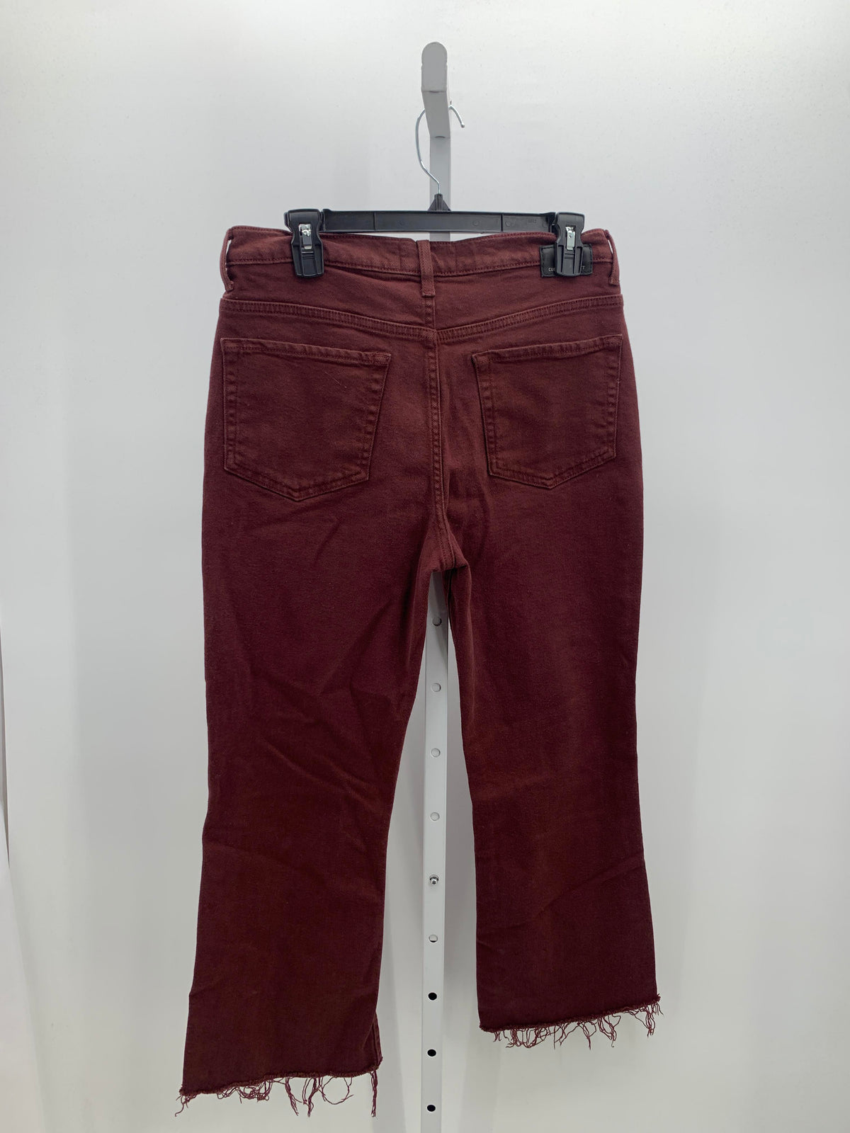 Size 10 Misses Jeans