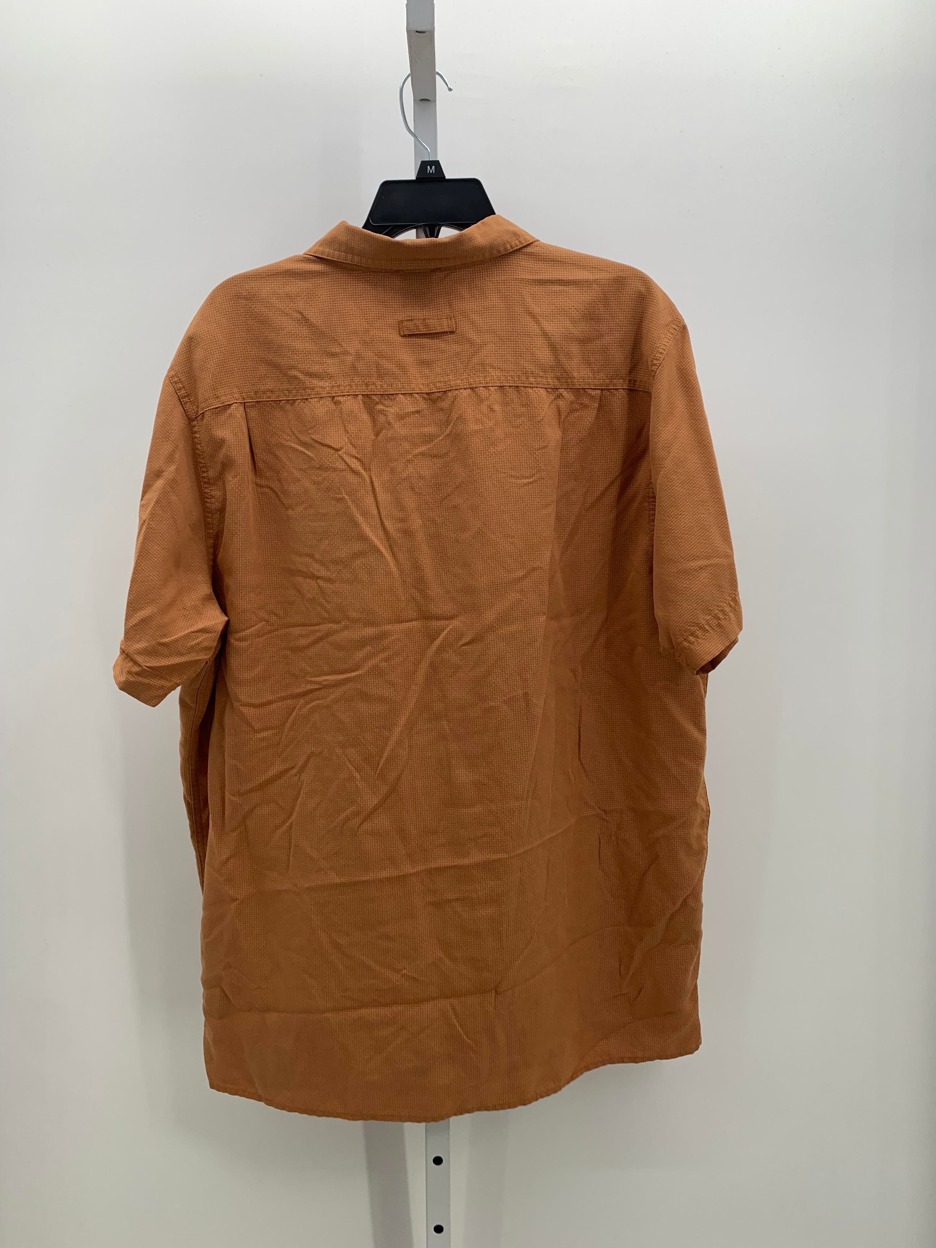 BTN DOWN SHIRT