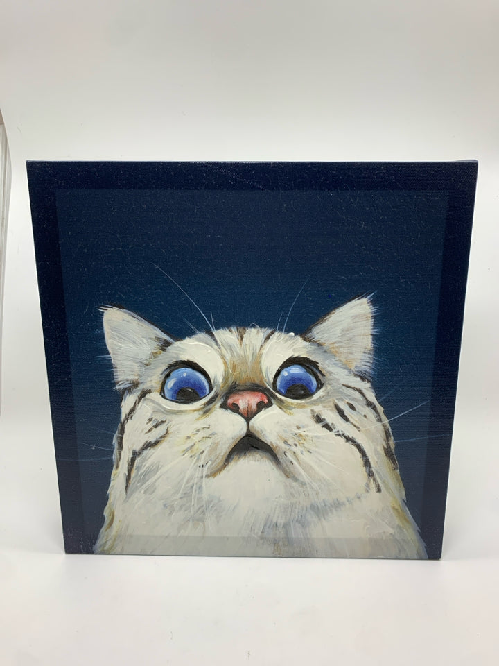 SURPRISED CAT CANVAS.
