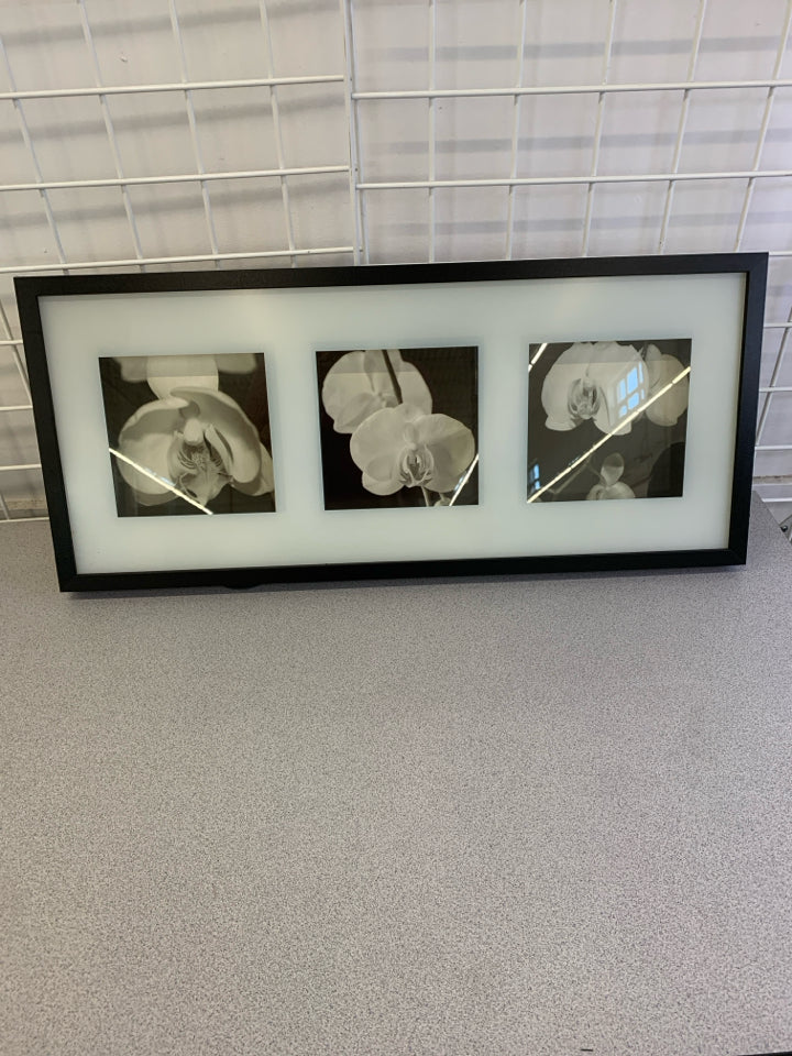 BLACK/WHITE FLOWERS SHADOWBOX WALL ART.
