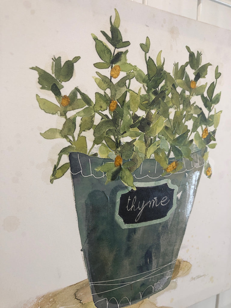 THYME CANVAS.