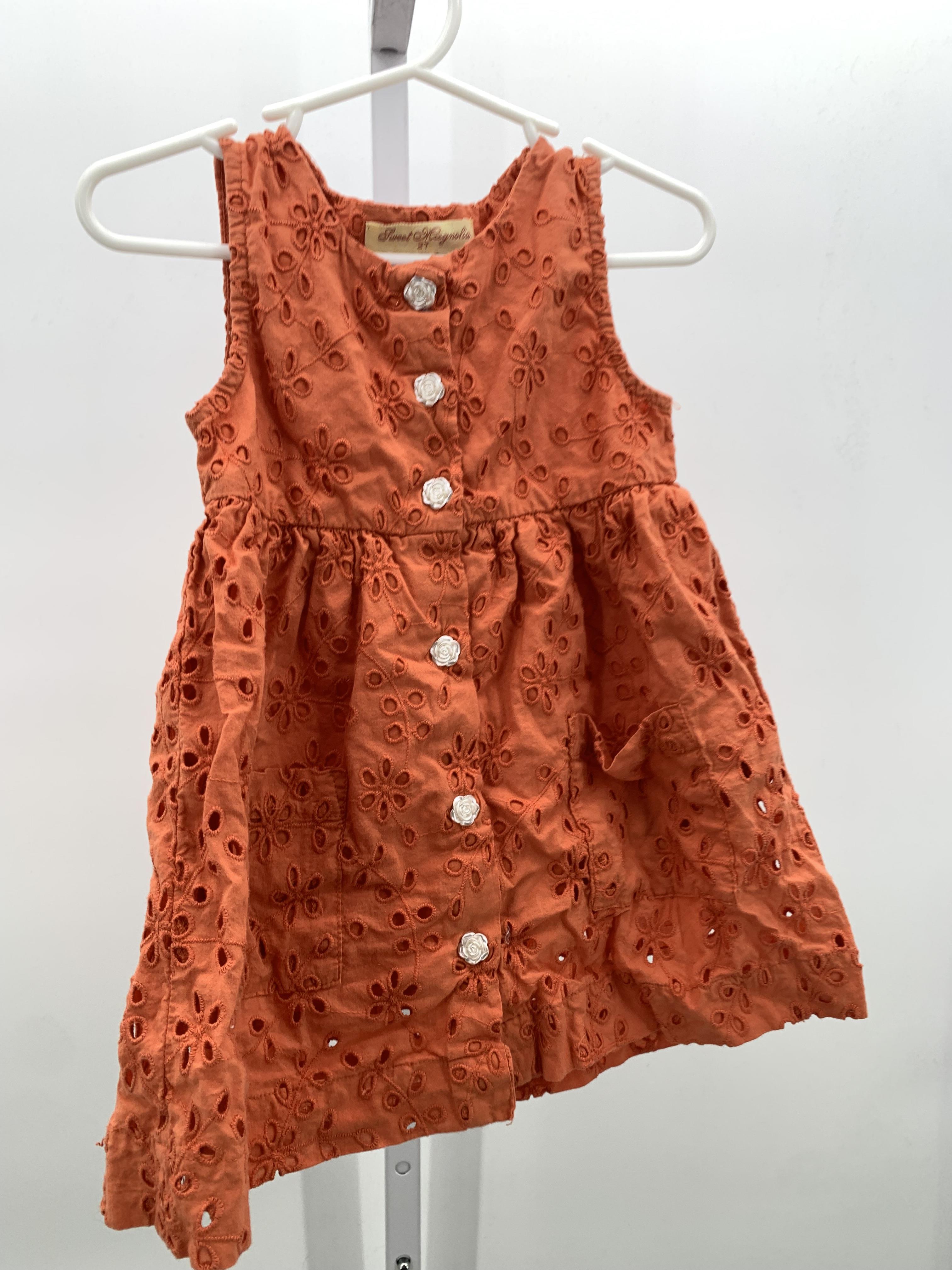 Size 2T Girls Sleeveless Dress