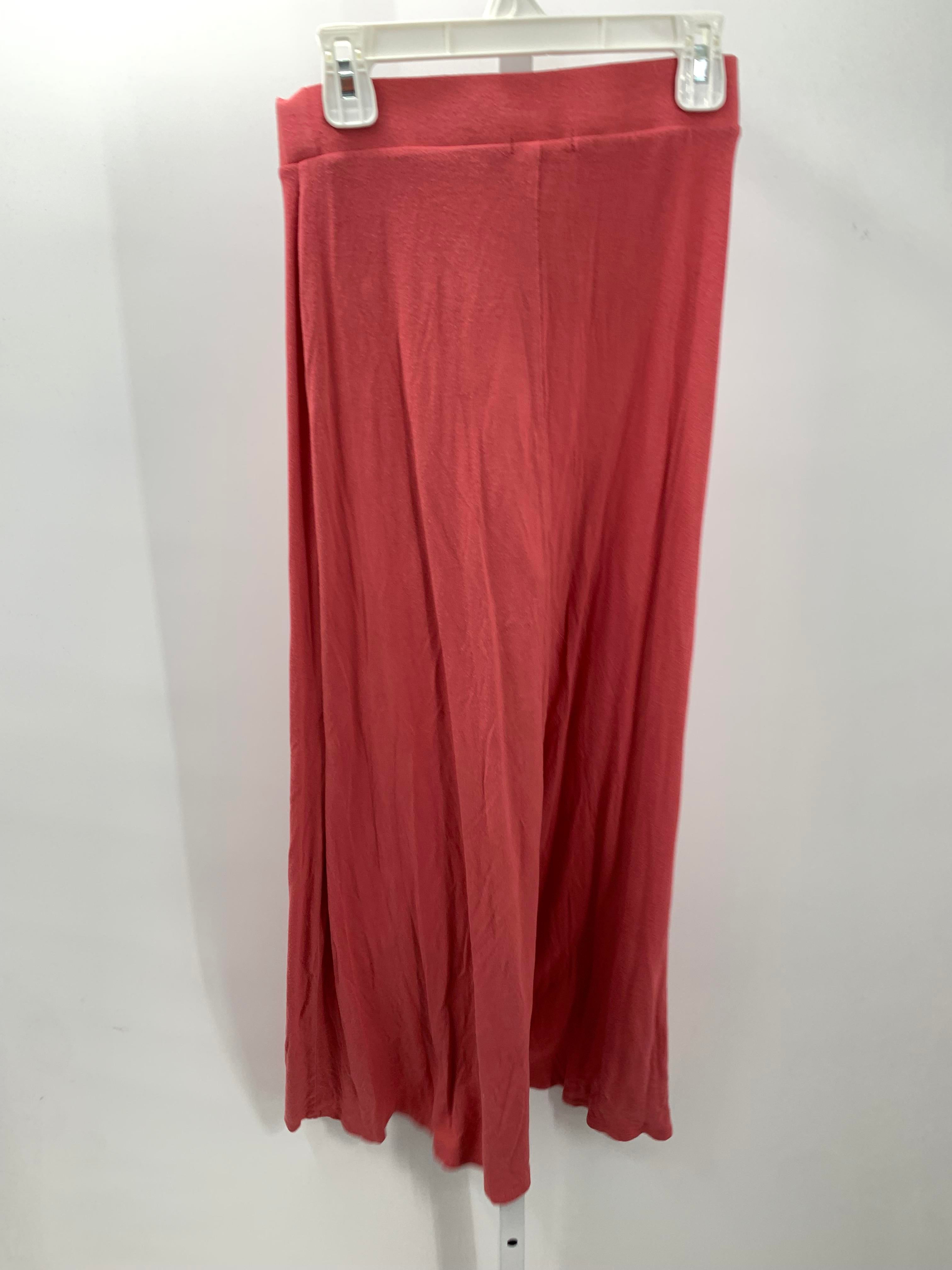 Charlotte Russe Size X Small Juniors Skirt