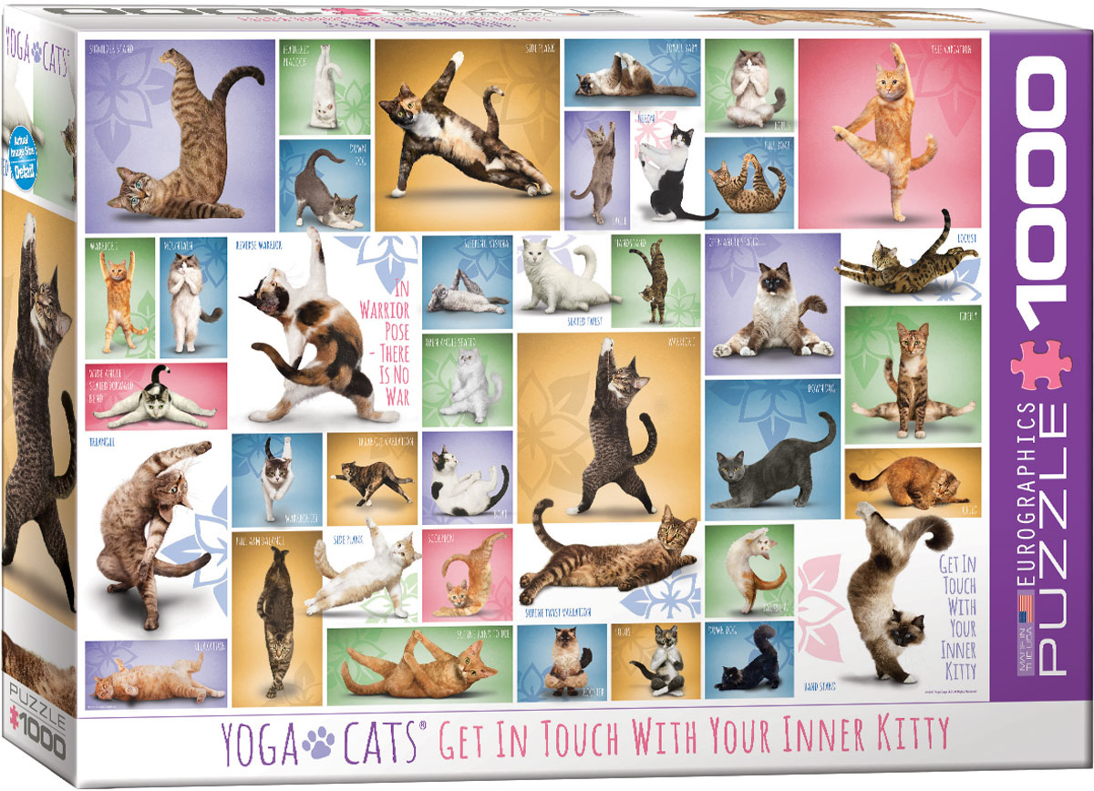 Yoga Cats -