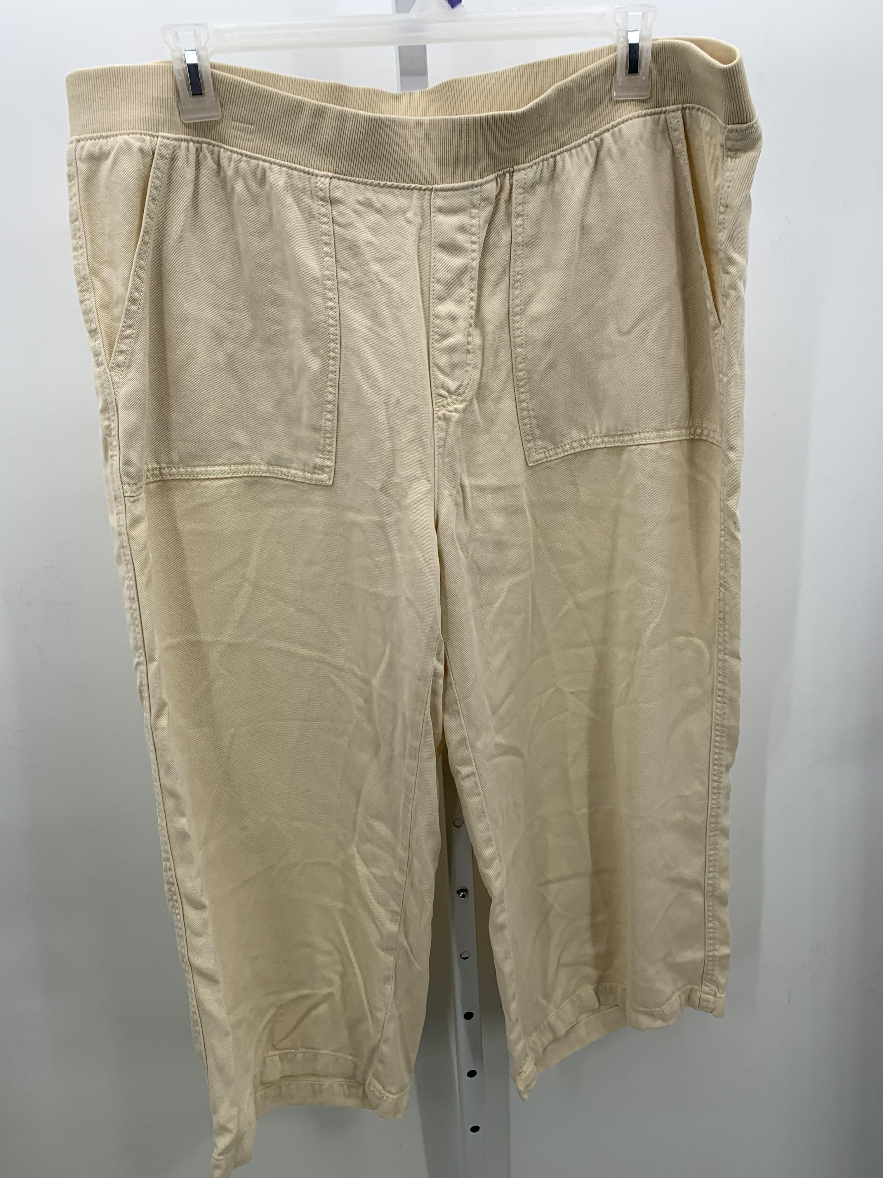 St. Johns Bay Size 1X Womens Pants