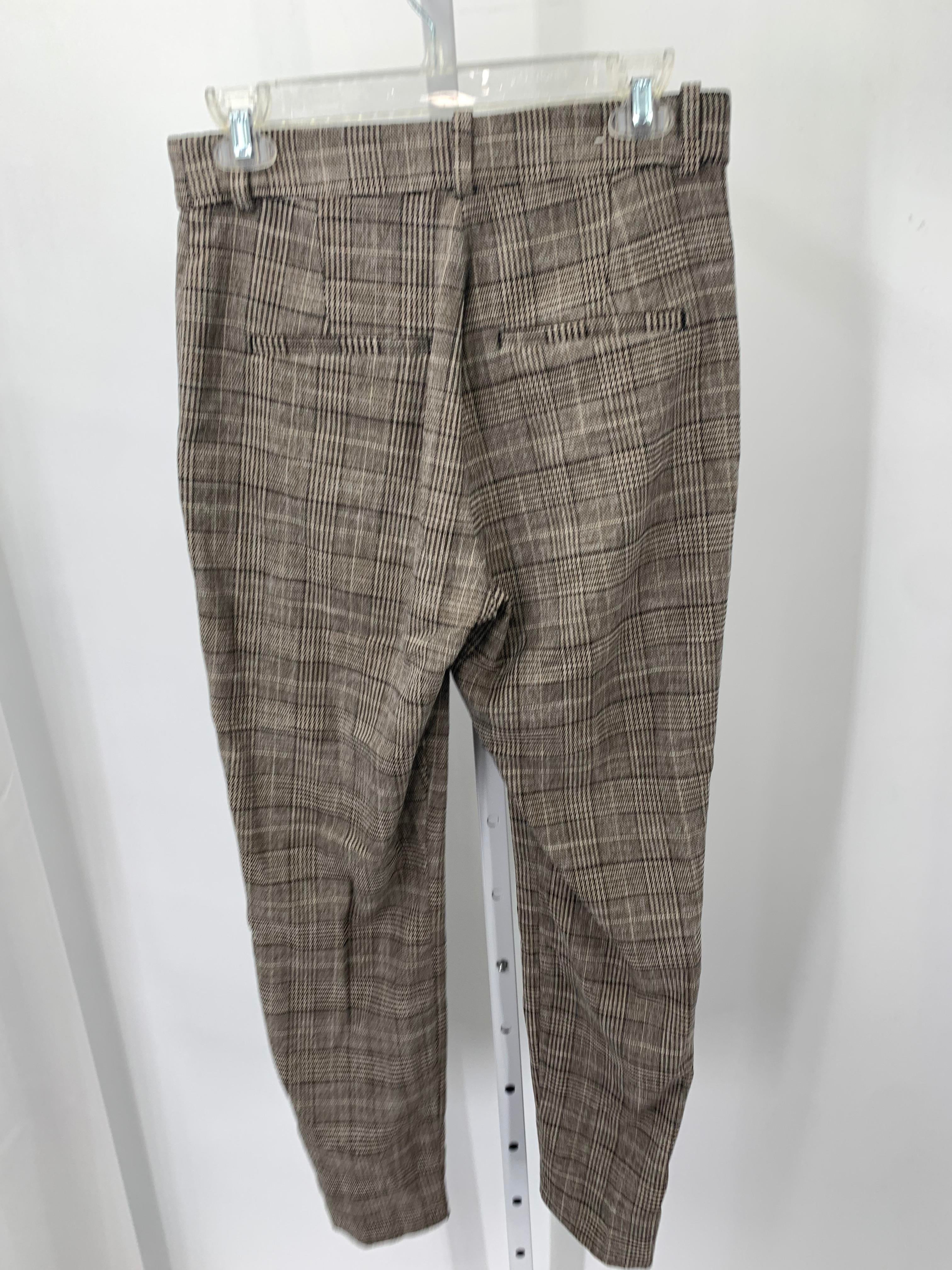 H&M Size 8 Misses Pants