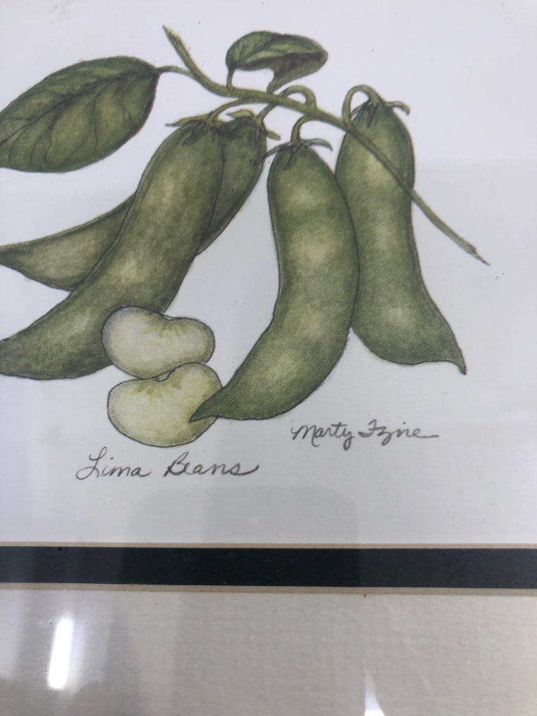 LIMA BEANS VEGETABLE WALL ART IN BLACK FRAME.