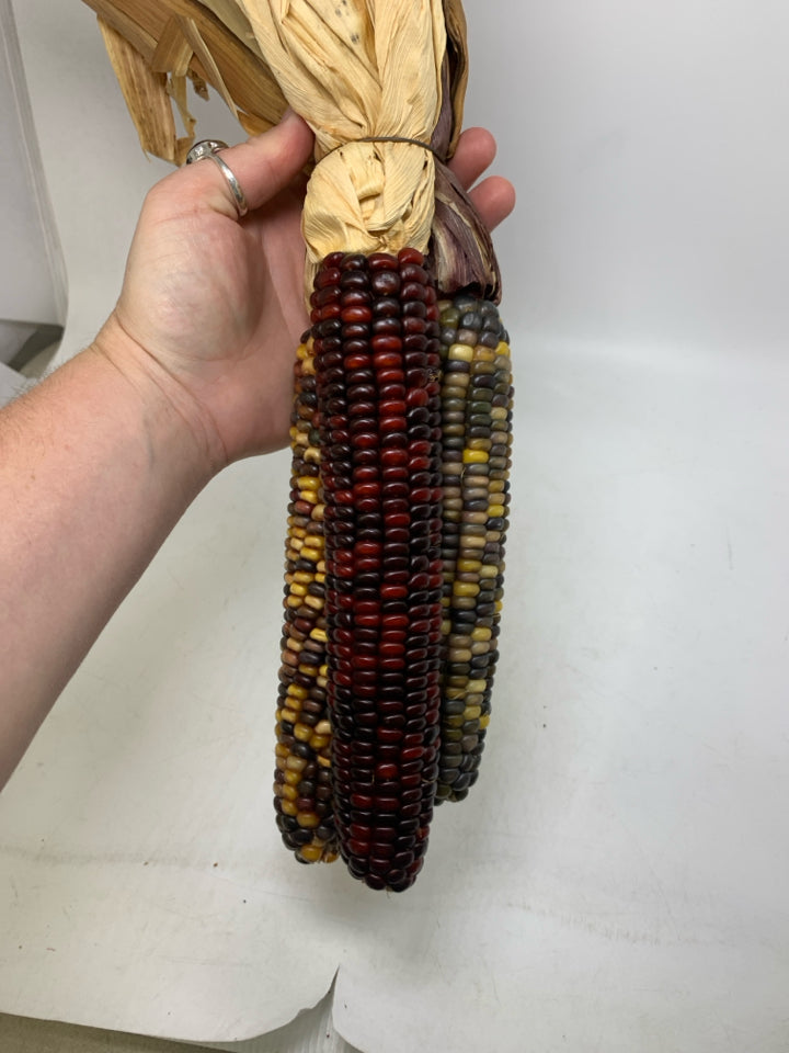 3 COLORED CORN BUNCH.