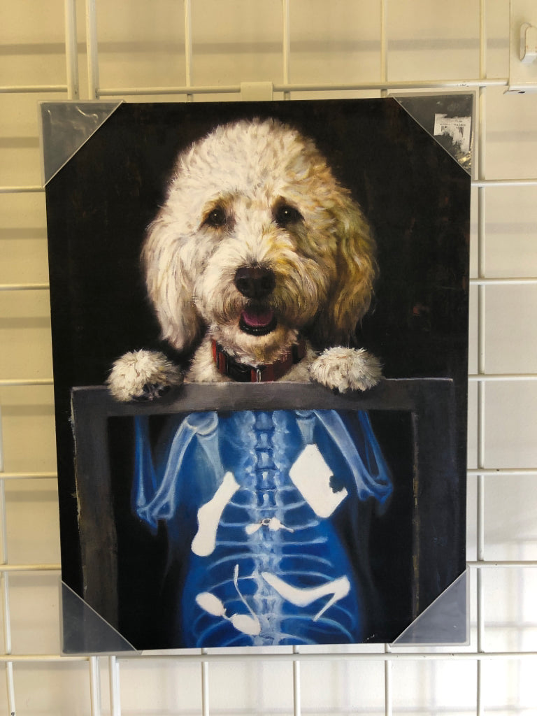 WHITE DOG X-RAY CANVAS WALL HANGING.
