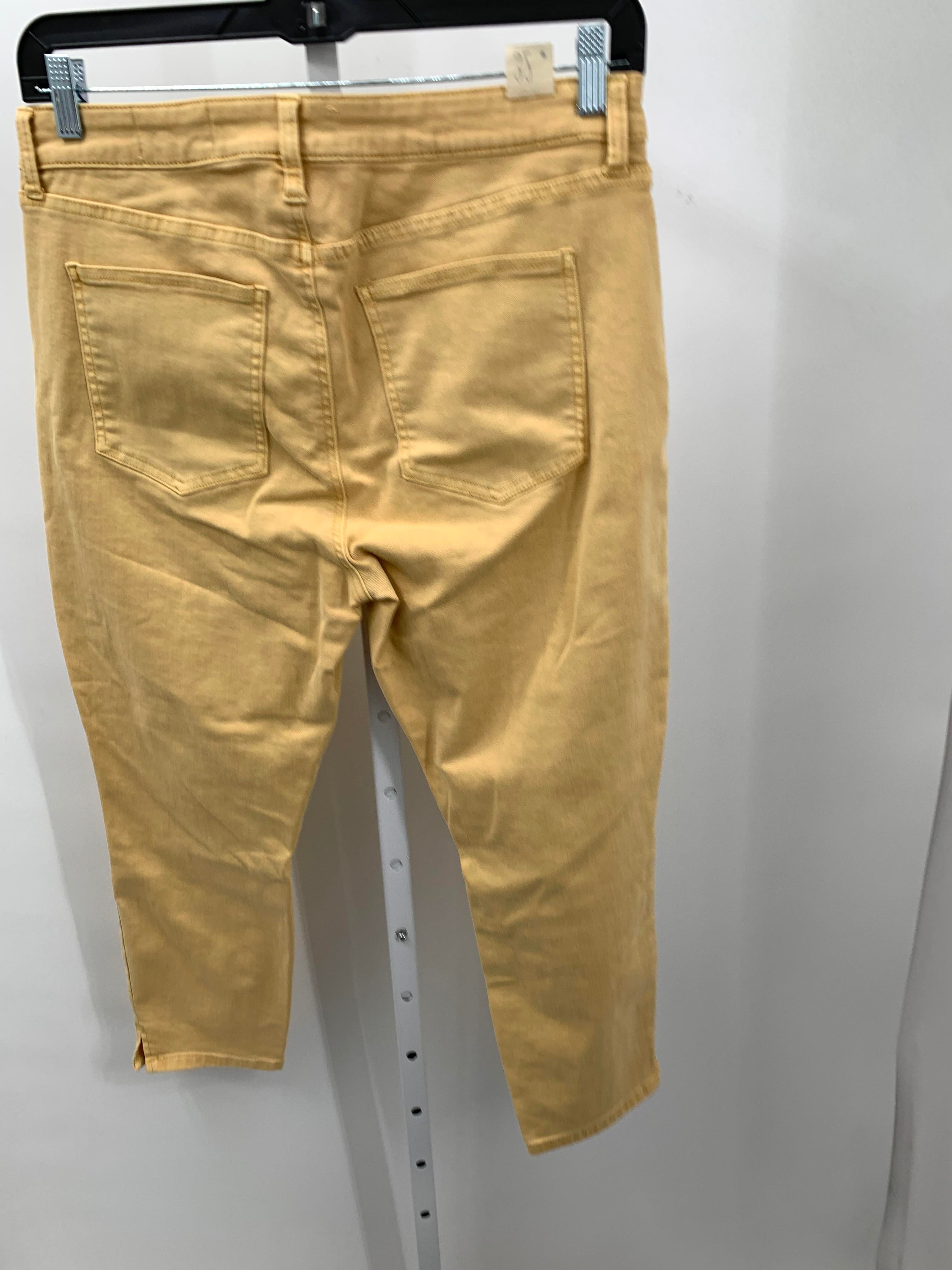 Size 14 Misses Jeans