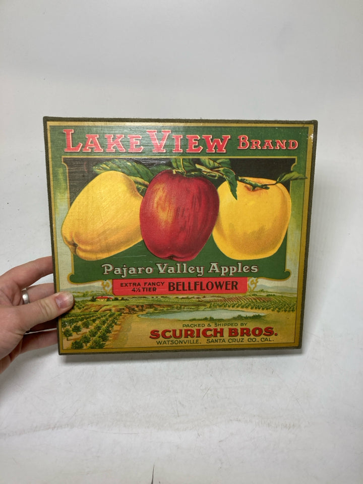 LAKE VIEW BRAND SMALL CANVAS.