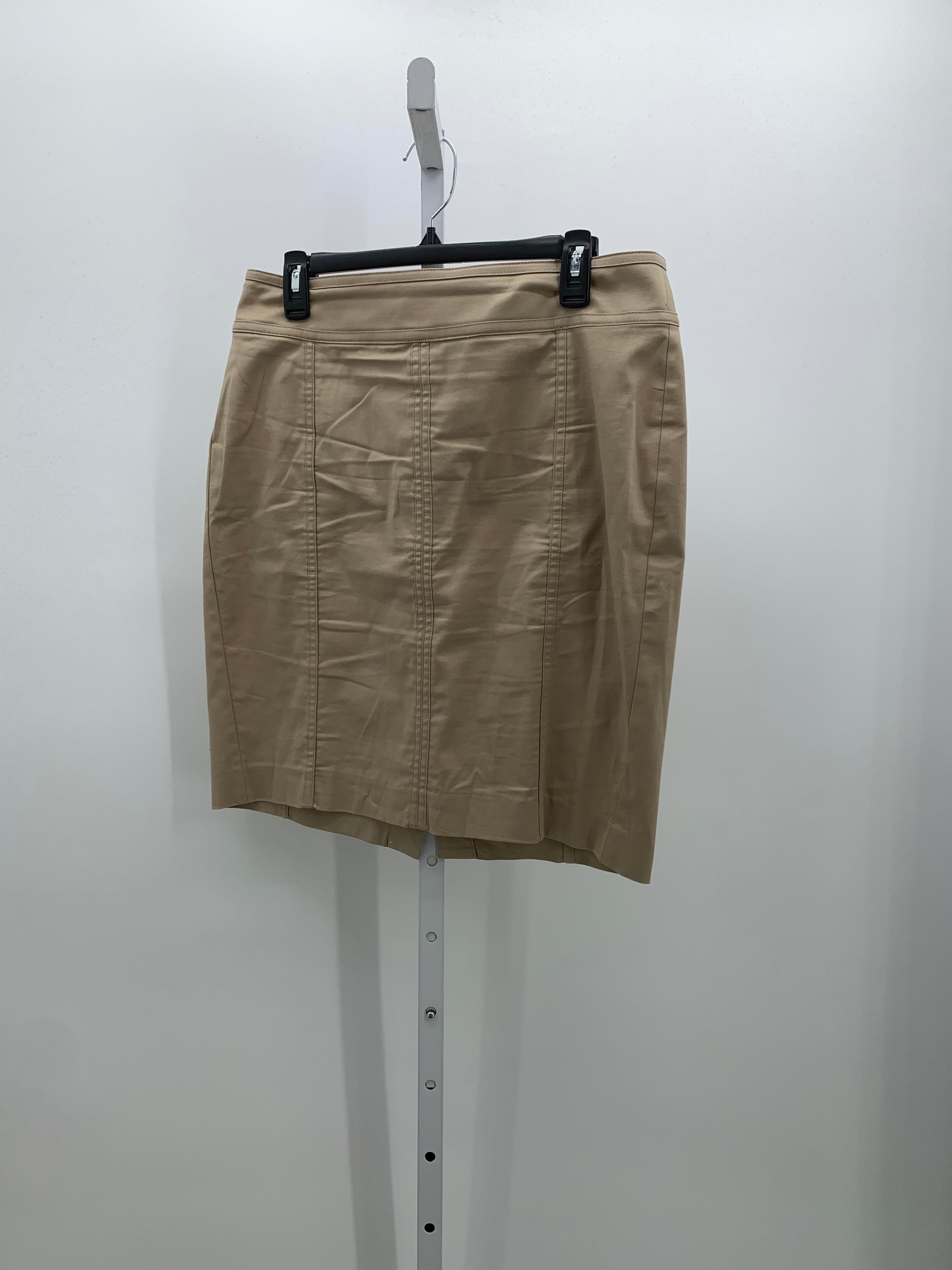 Ann Taylor Size 10 Petite Petite Skirt