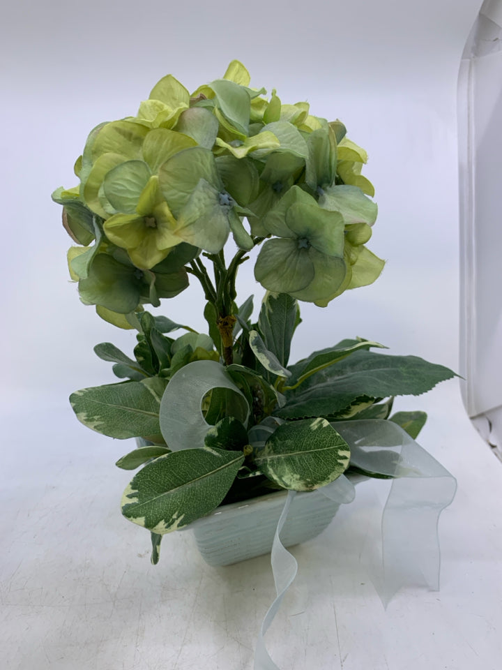 HYDRANGEA IN WHITE PLANTER.
