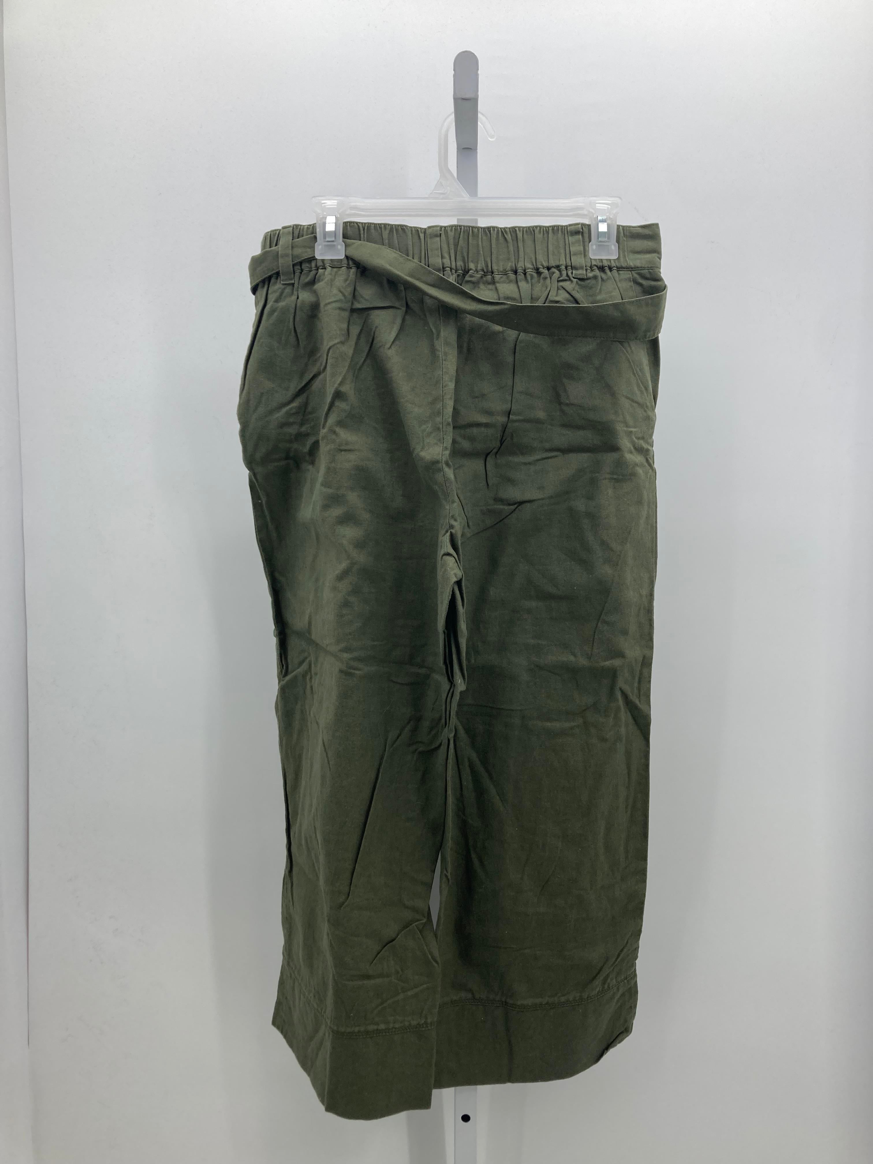 Loft Size Medium Misses Pants