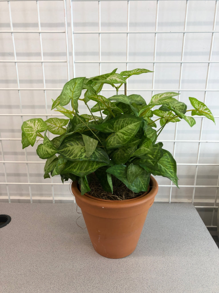 FAUX PLANT IN TERRA COTTA POT.