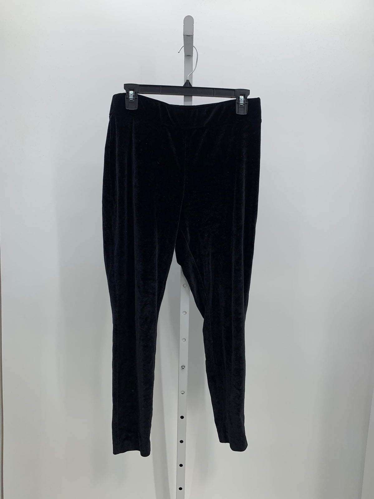 Loft Size Large Petite Petite Pants