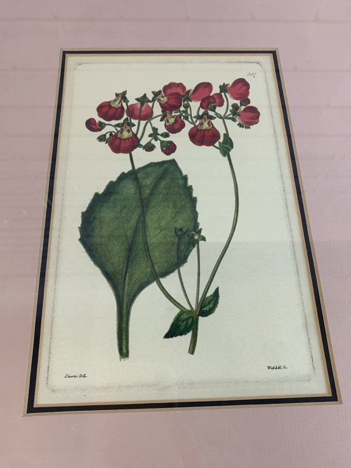 VTG "227" RED FLORAL ILLUSTRATION.