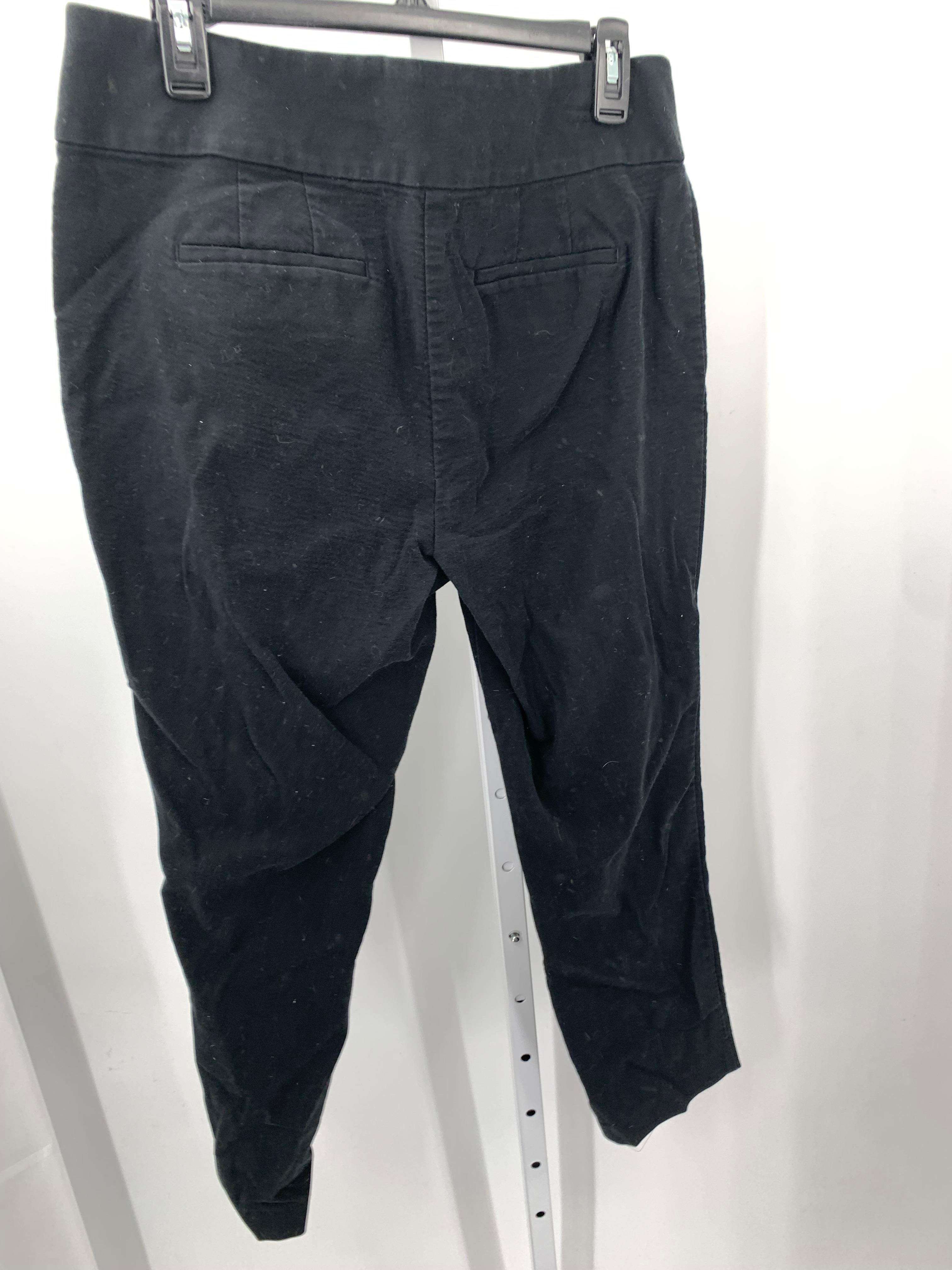 Loft Size 10 Misses Pants