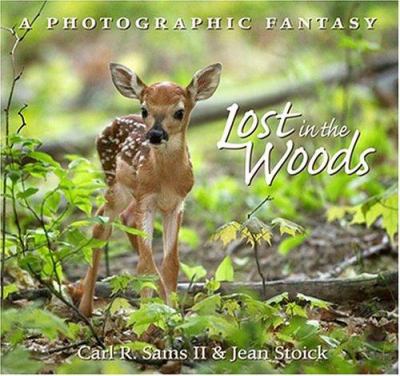 Lost in the Woods a Photograph - Sams, Carl R.