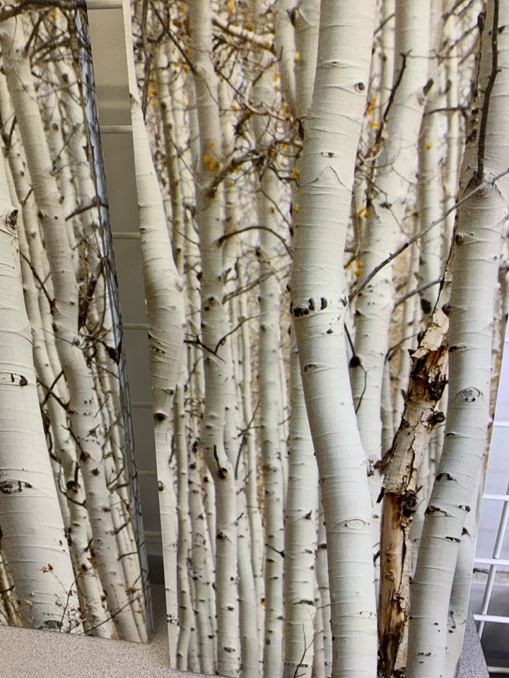 3 PC BIRCH TREE CANVAS WALL HANGING.
