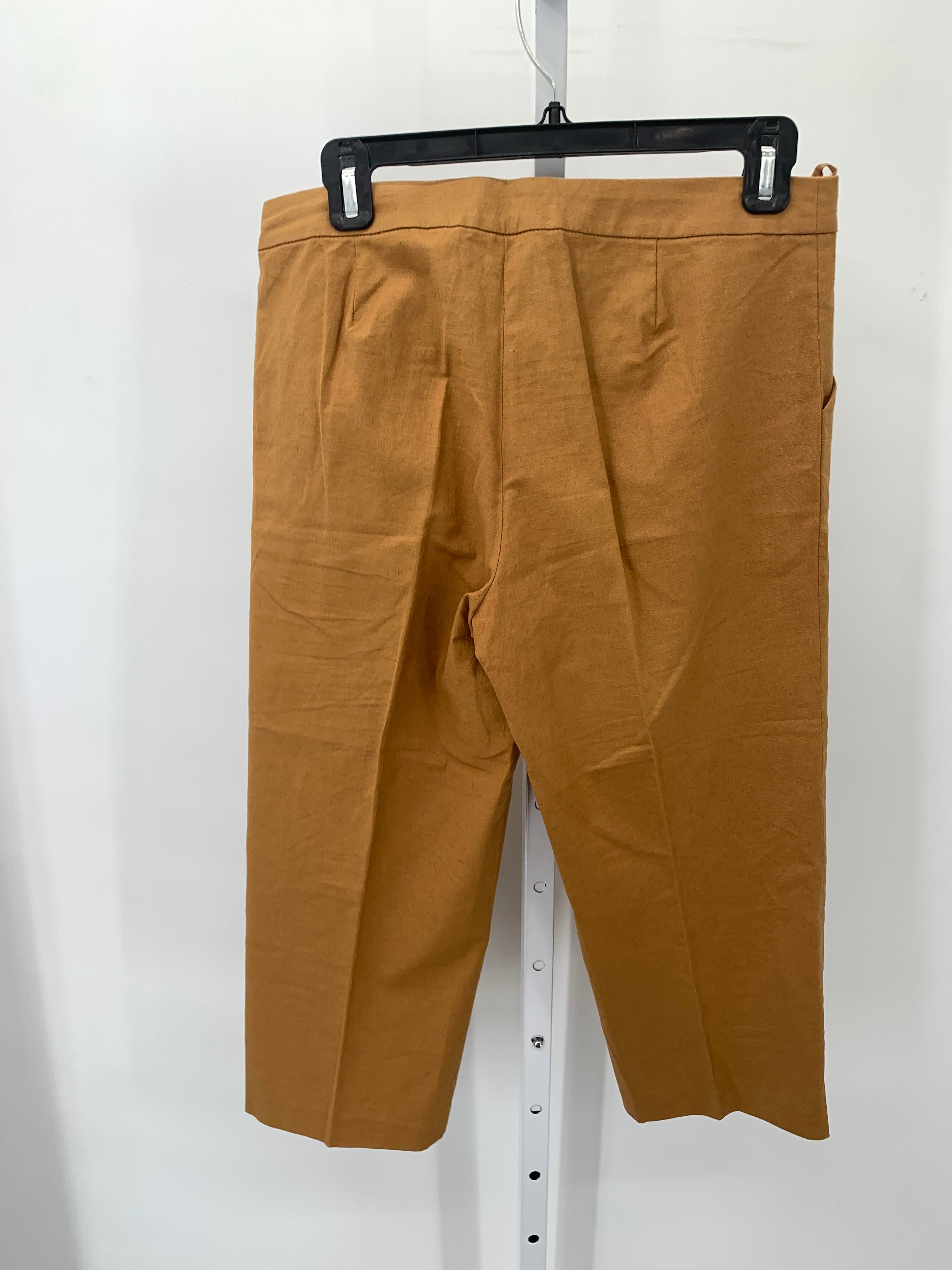 Nicole Miller Size 6 Misses Capri Pants