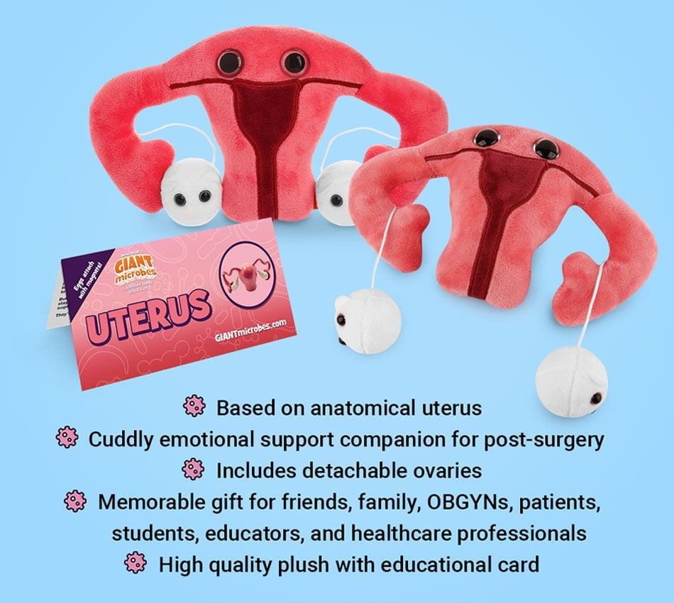 GIANT Microbes Uterus