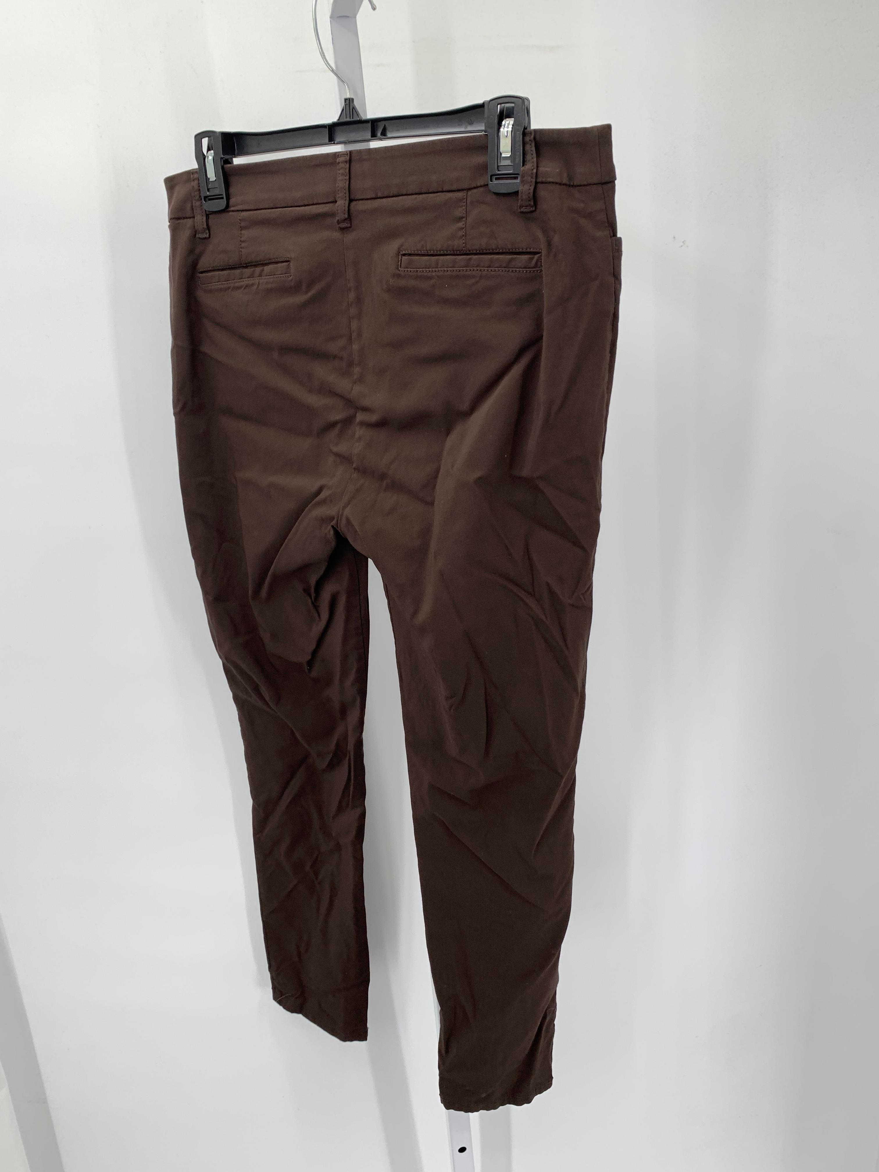 Talbots Size 12 Petite Petite Pants