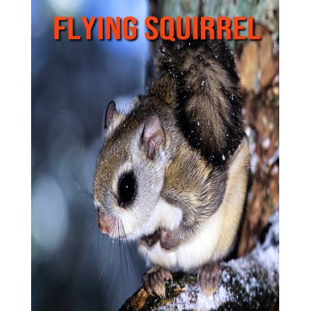 Flying Squirrel : Amazing Facts About Flying Squirrel (Paperback) -
