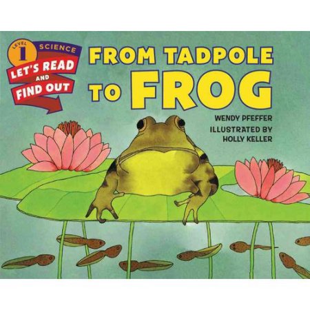From Tadpole to Frog - (Let's-Read-and-Find-Out Science 1) by Wendy Pfeffer (Pap
