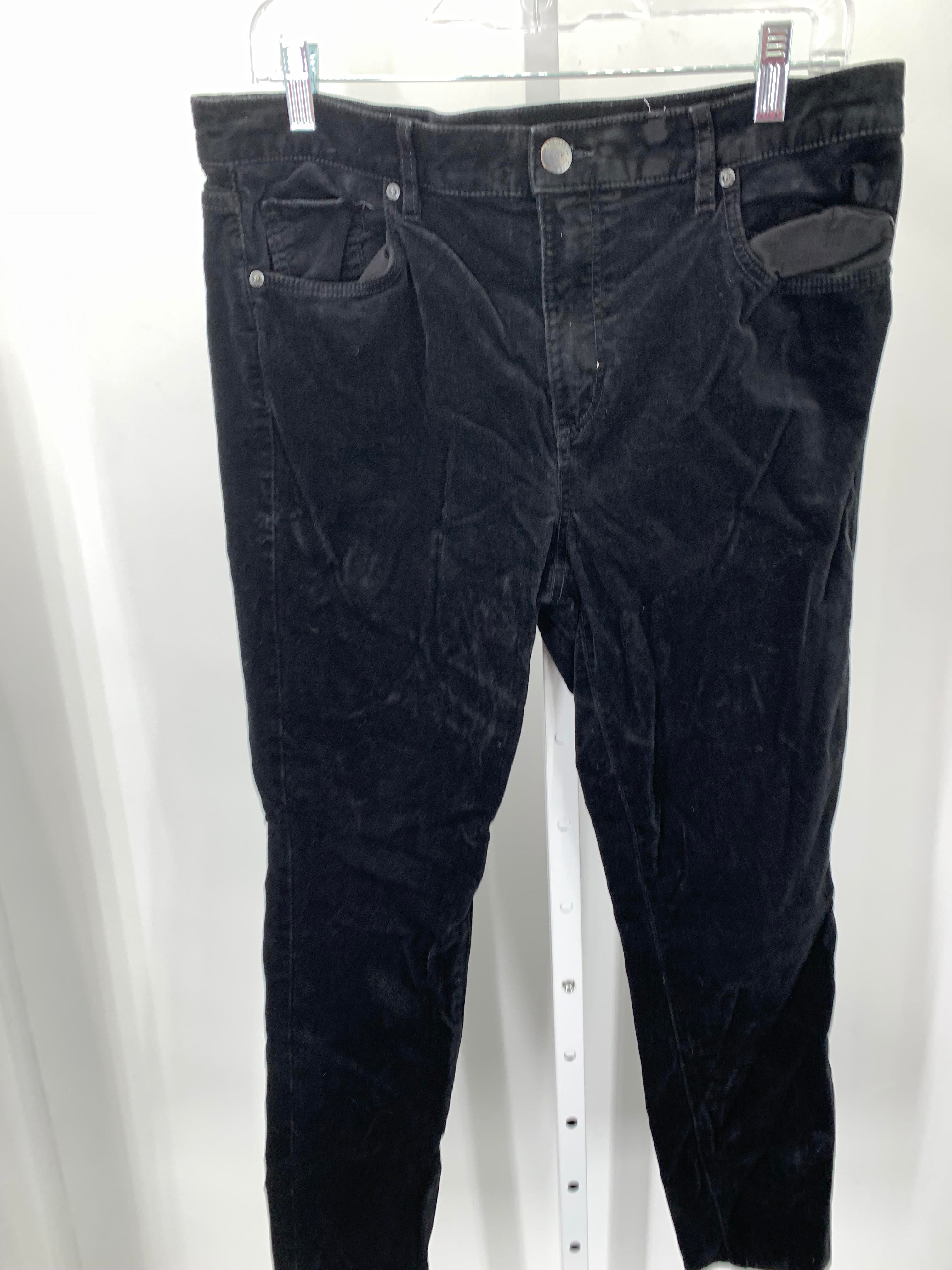 Loft Size 12 Misses Pants