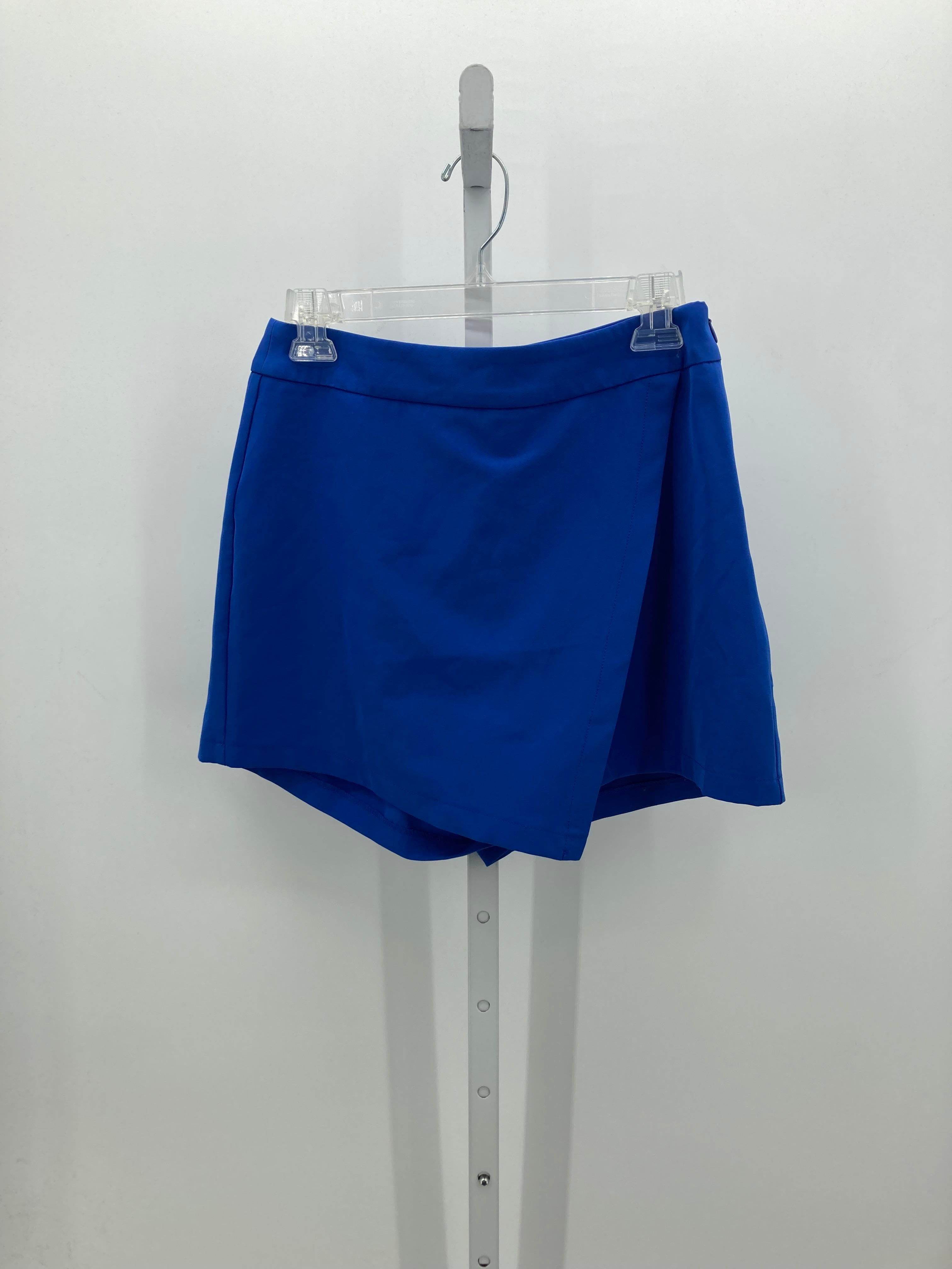 Size Large Juniors Skirt