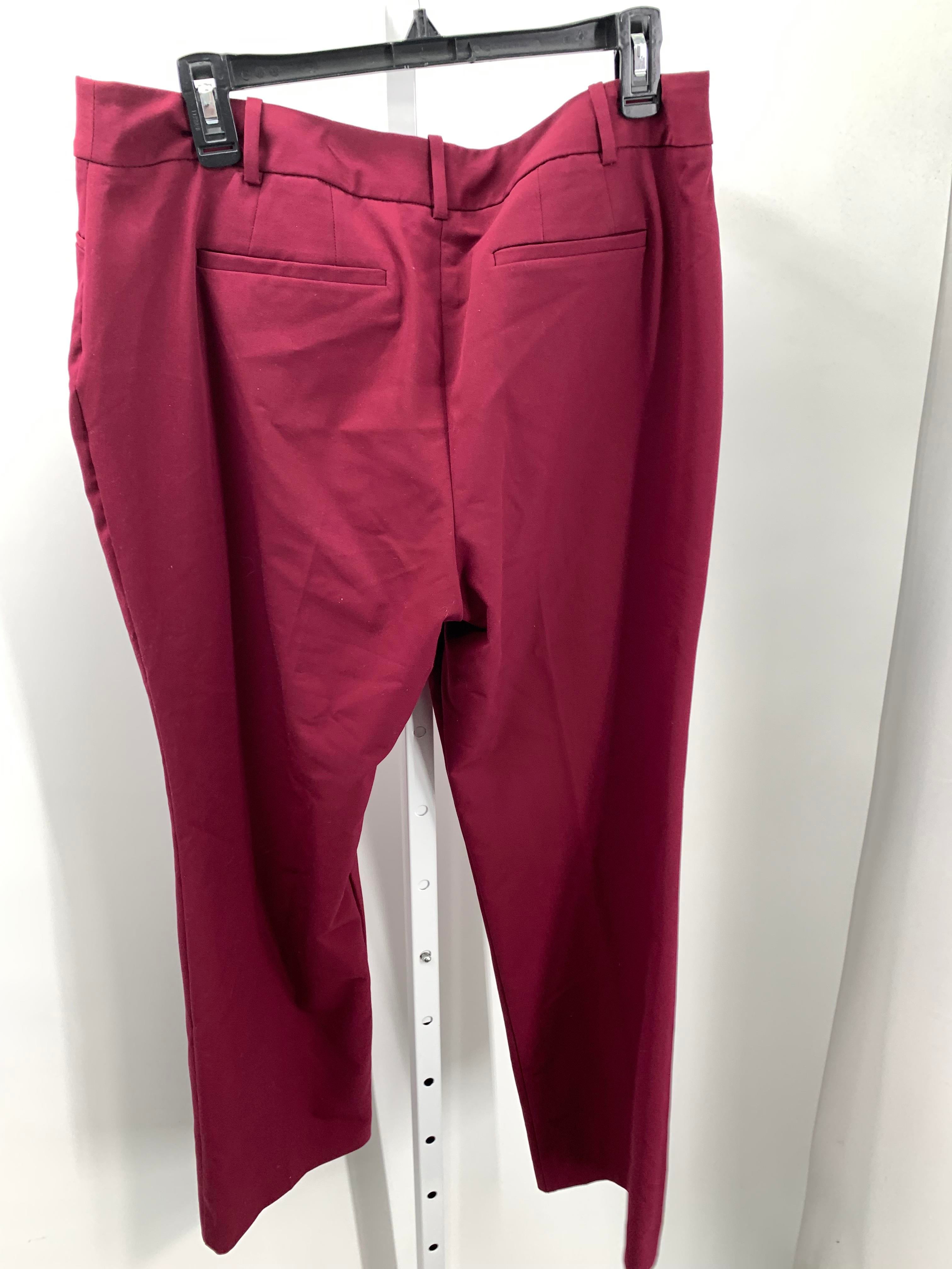 Liz Claiborne Size 12 Petite Petite Pants