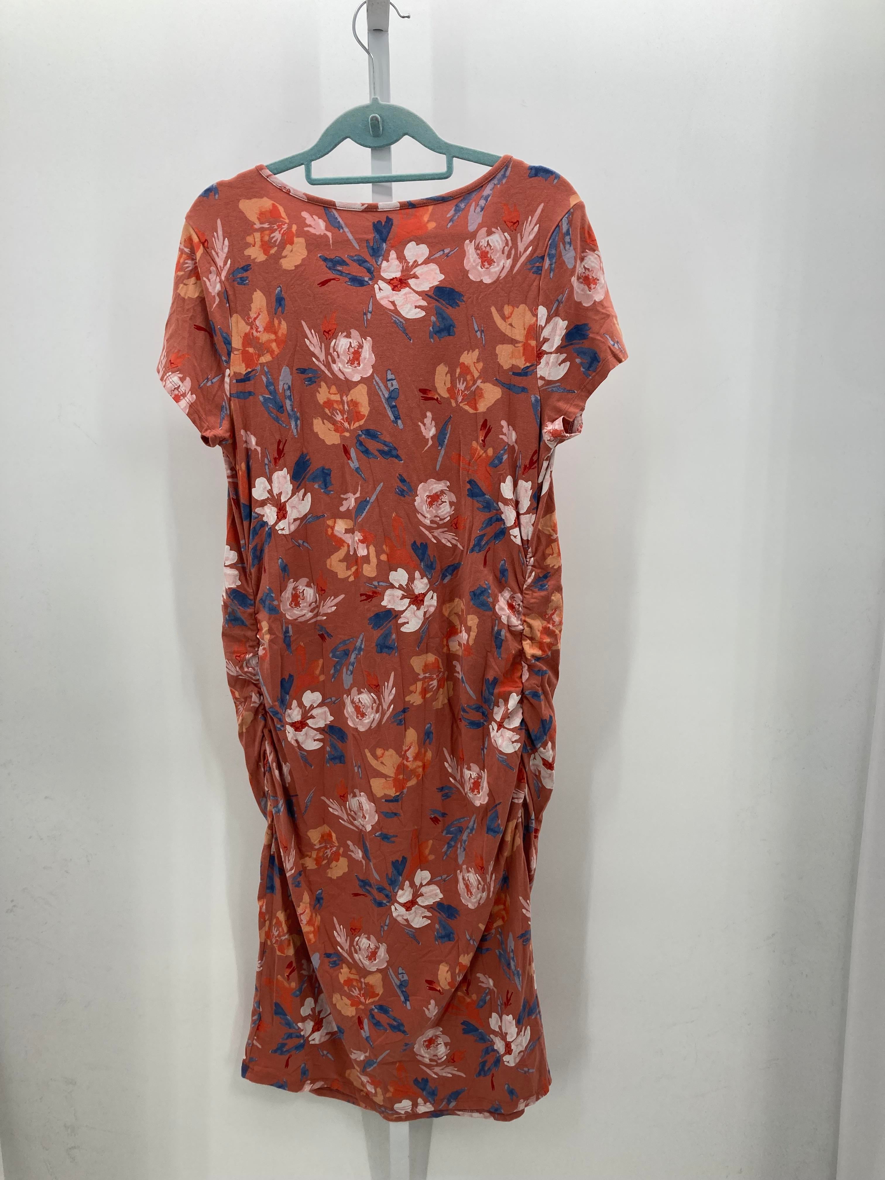 Isabel Pink Size XXL Maternity Short Sleeve Dress