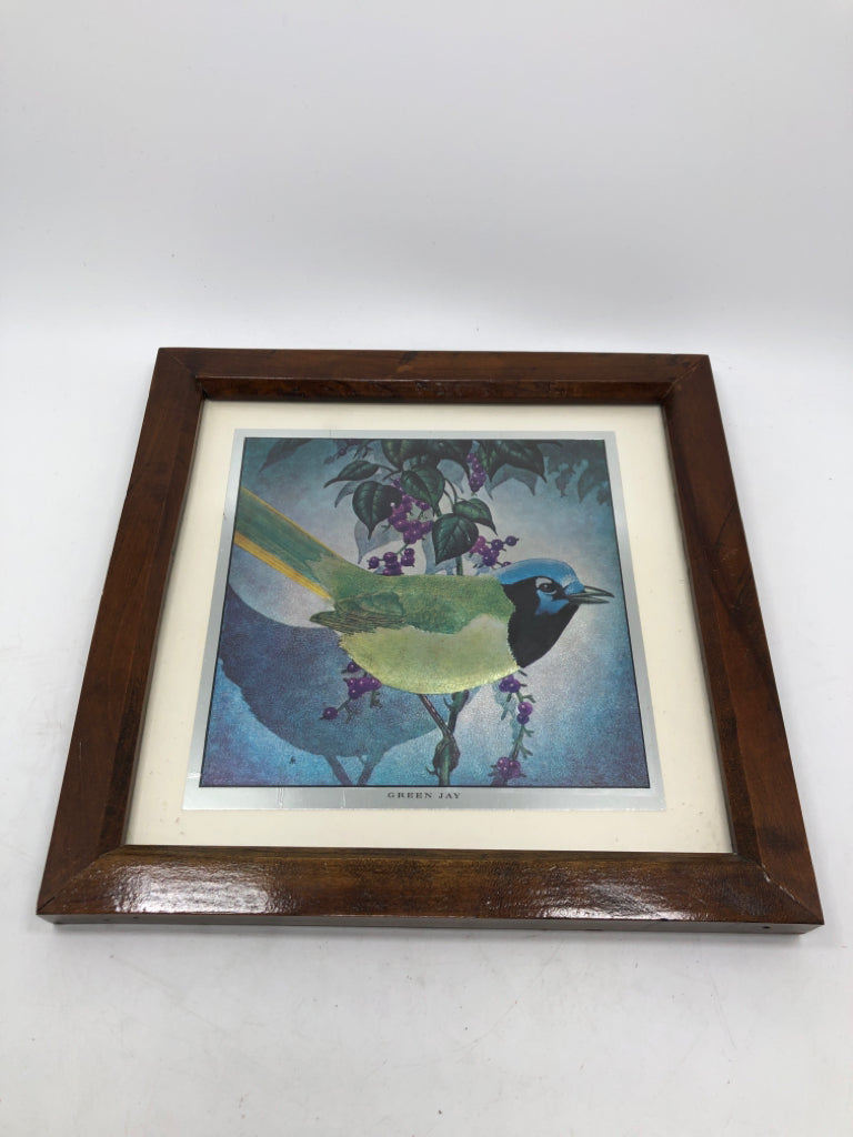 IRIDESCENT GREEN JAY FRAMED PRINT.