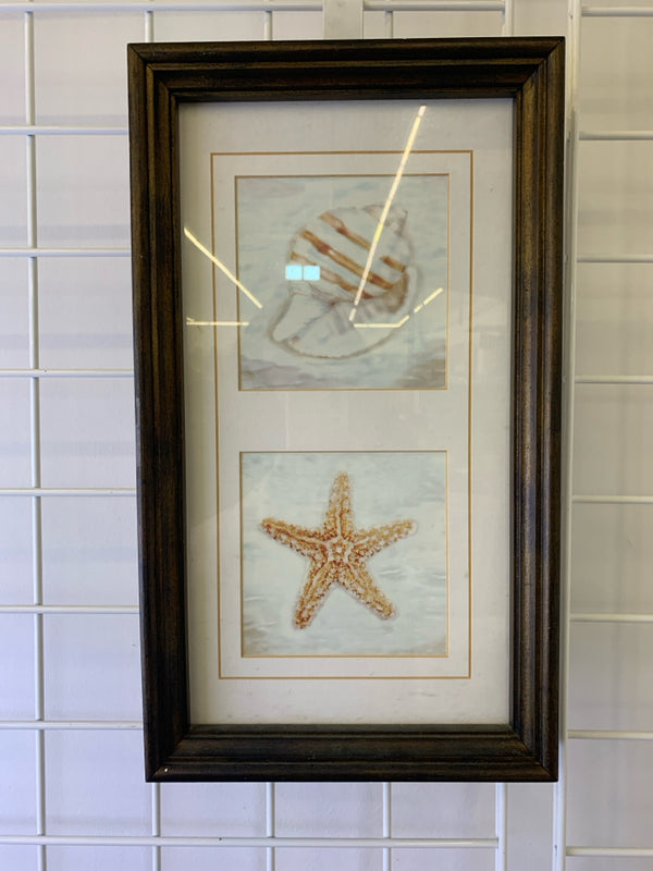 SEASHELL AND STARFISH IN BROWN FRAME WALL ART.