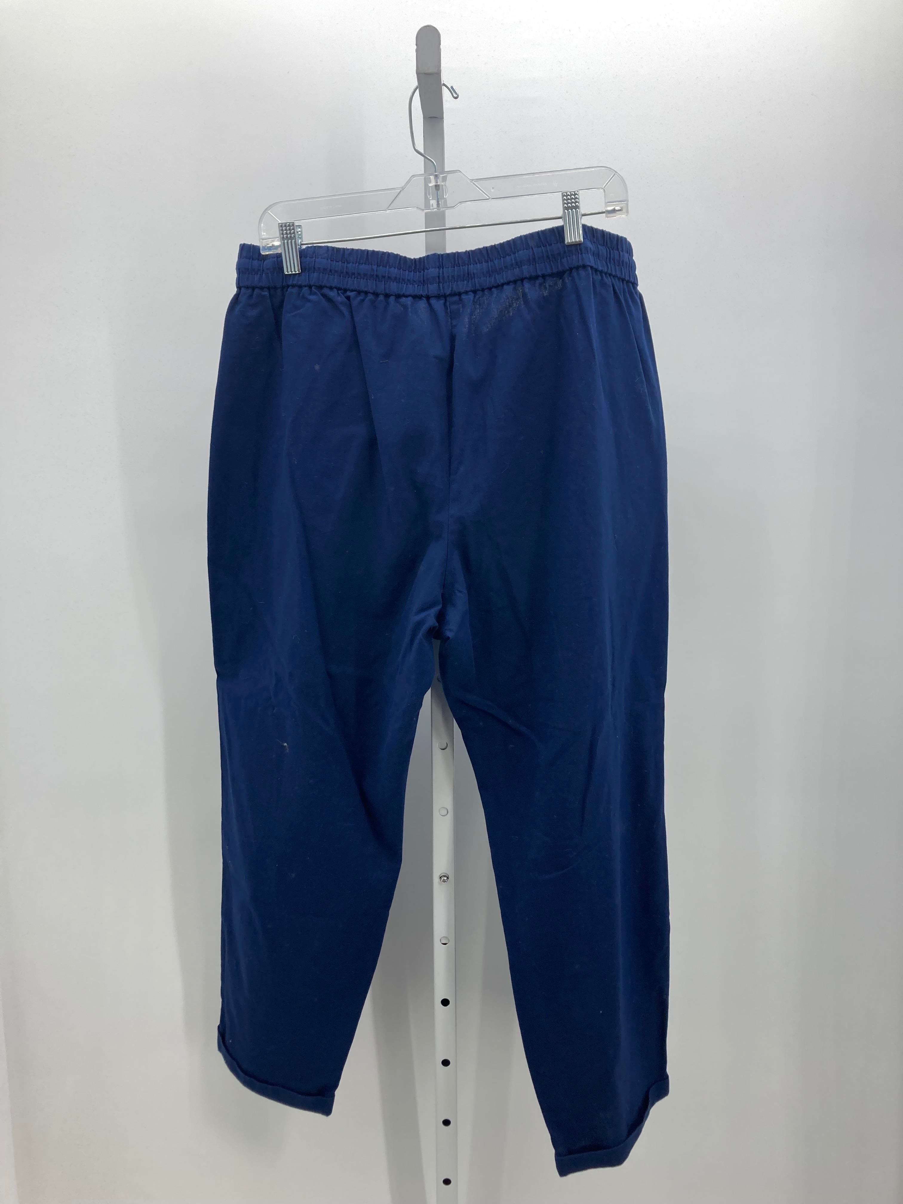 J. Crew Size 14 Misses Pants