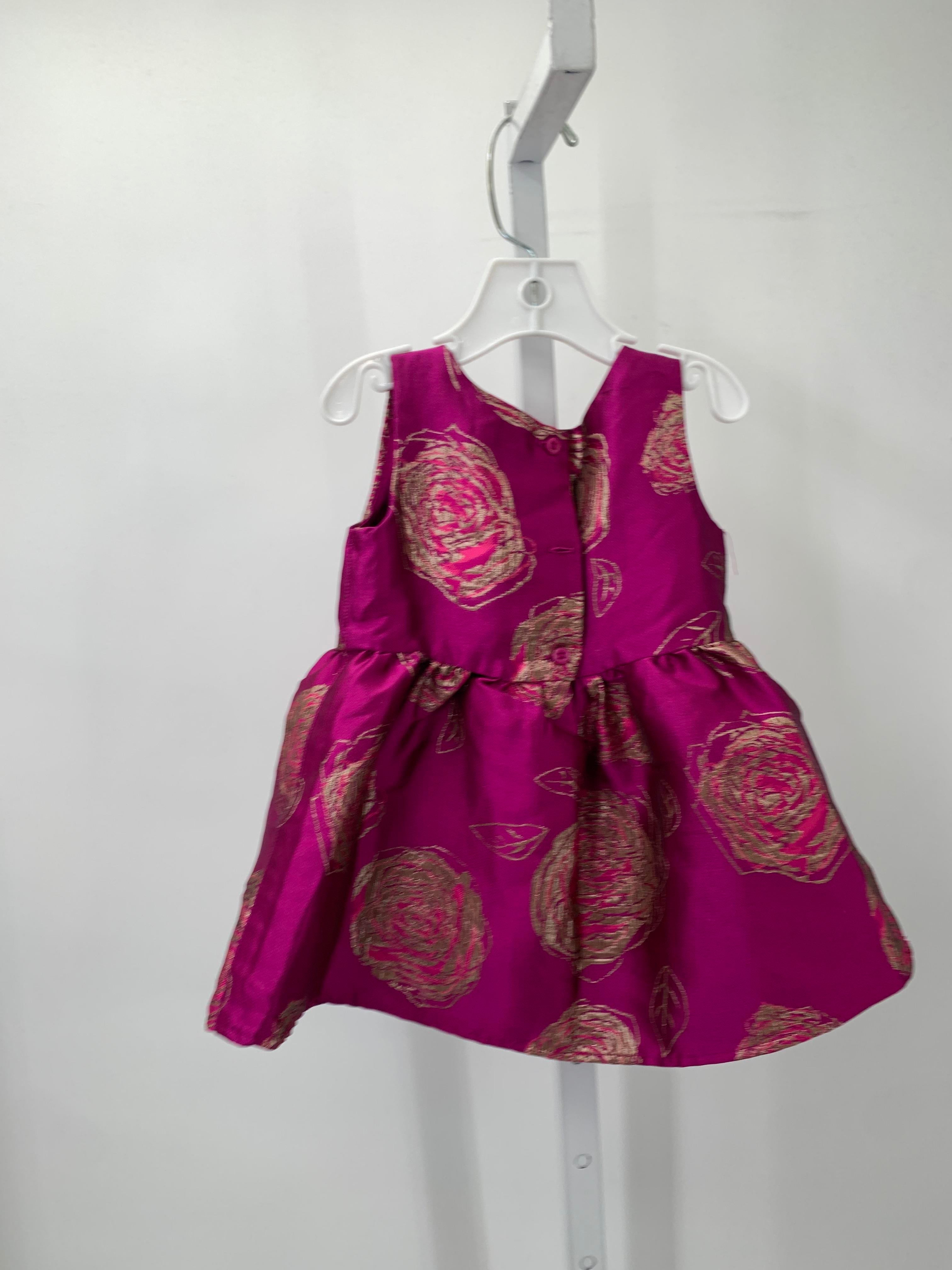 Children's Place Size 18-24 Months Girls Sleeveless Dress