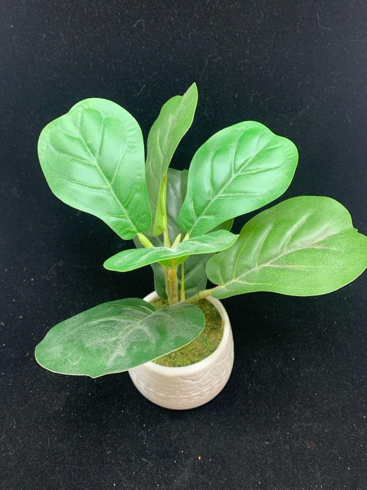 FAUX LEAVES IN EMBOSSED PLANTER.