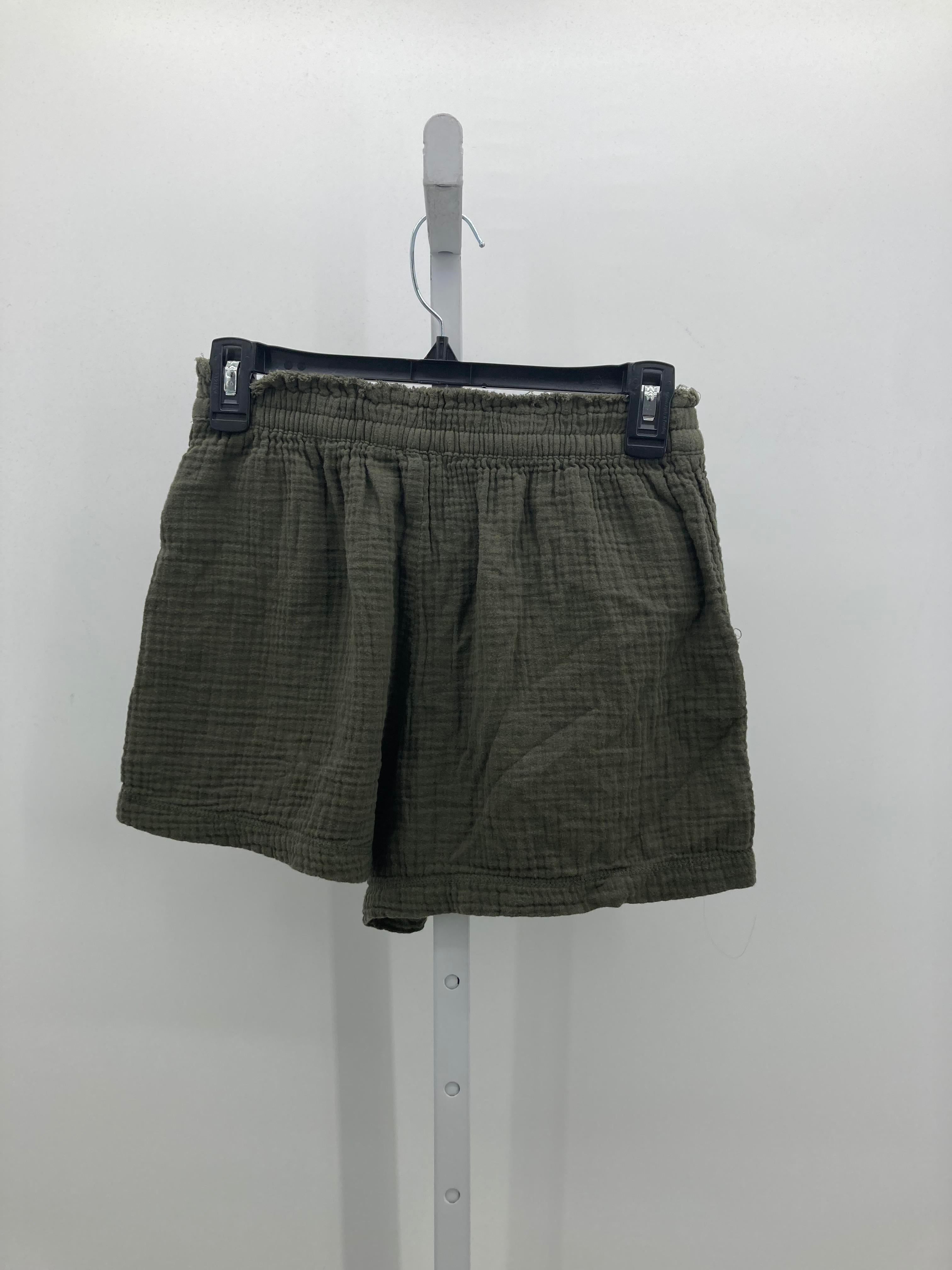 Aerie Size Small Juniors Shorts