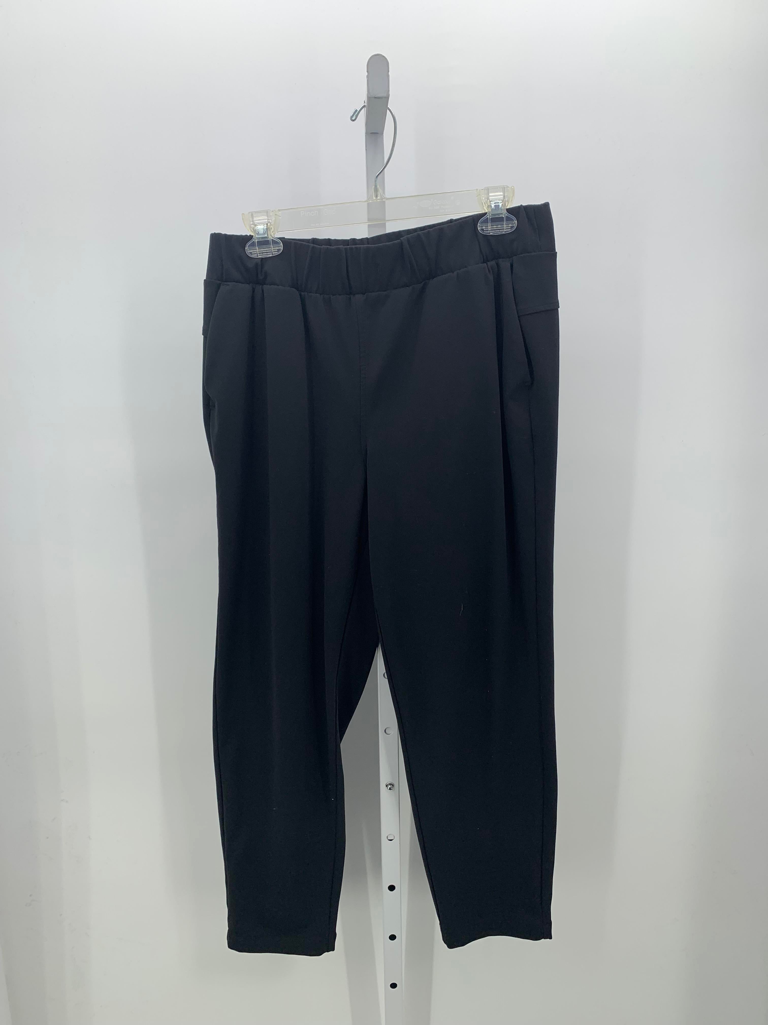 Talbots Size Large Petite Petite Pants