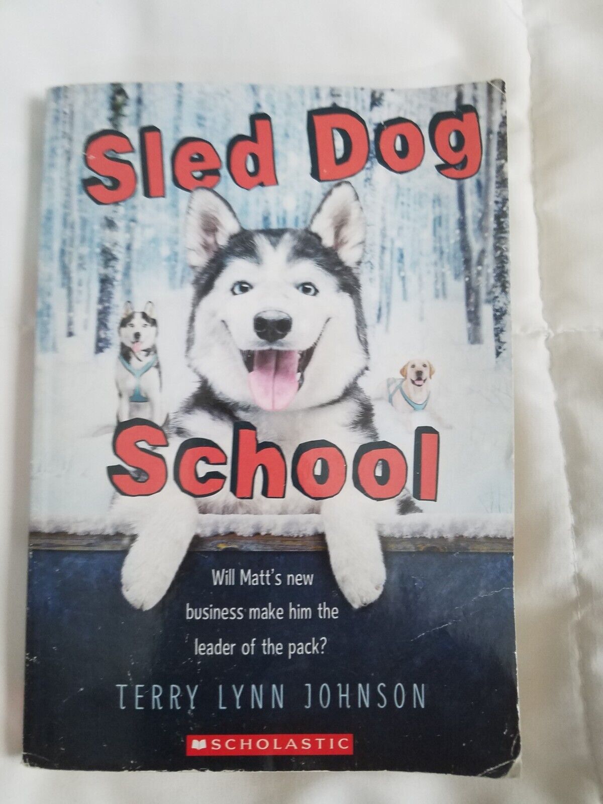 Sled Dog School by Johnson, Terry Lynn Paperback -