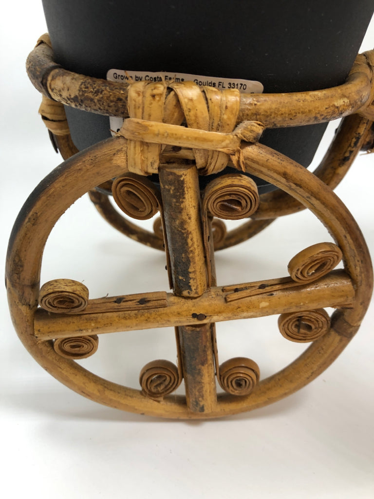 BAMBOO BICYCLE PLANTER.