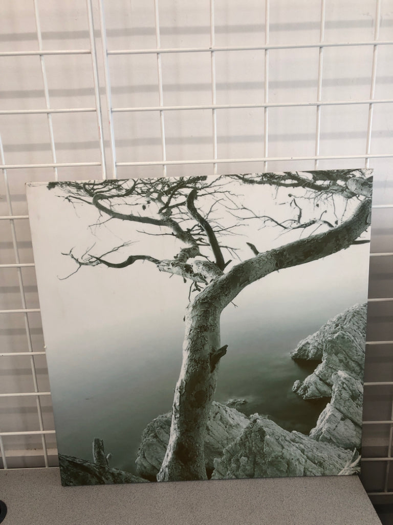 BIRCH TREE PRINT WALL HANGING.